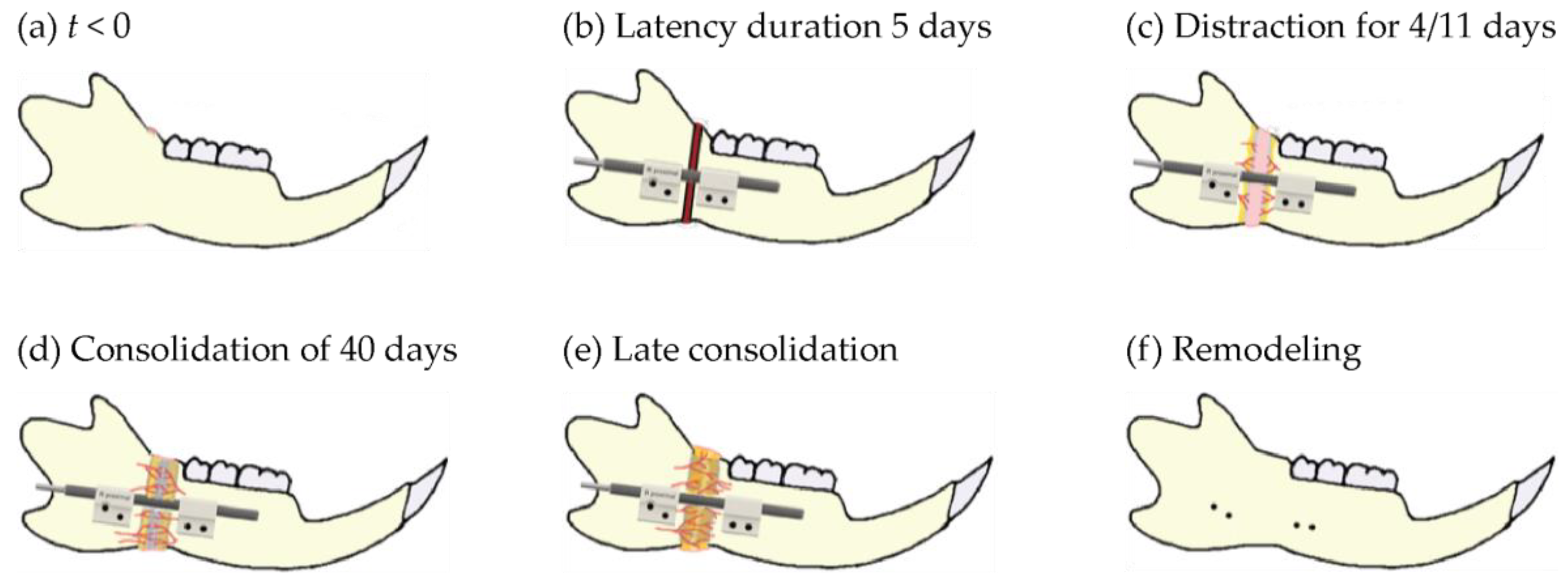 Applsci 12 06286 g001