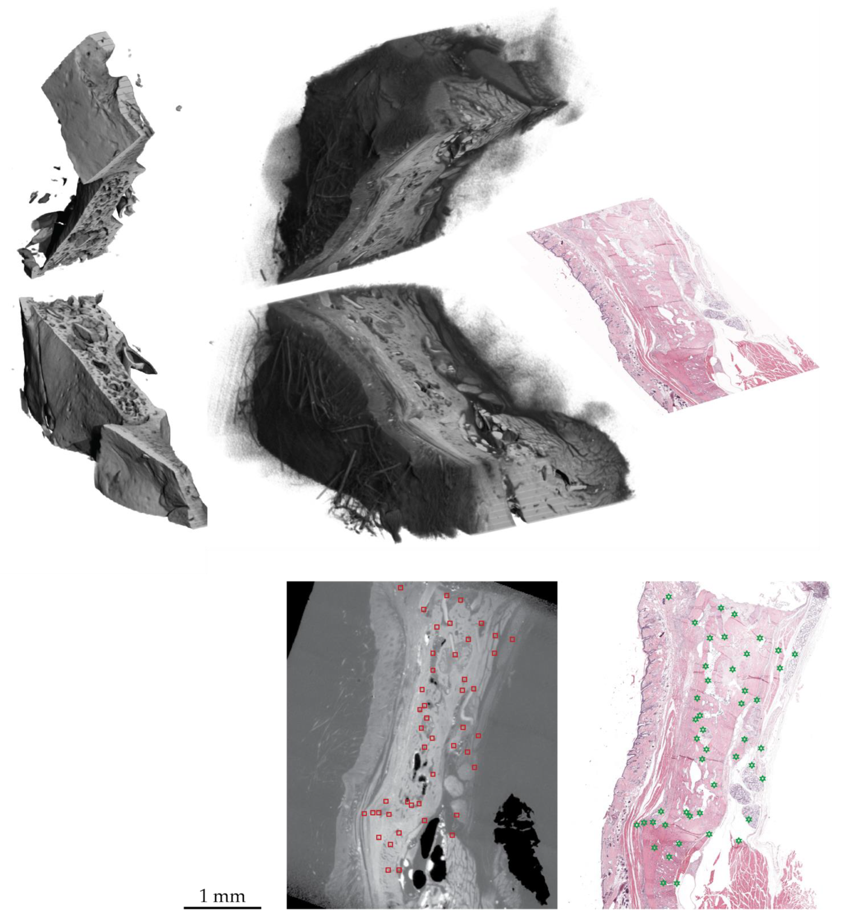 Applsci 12 06286 g008