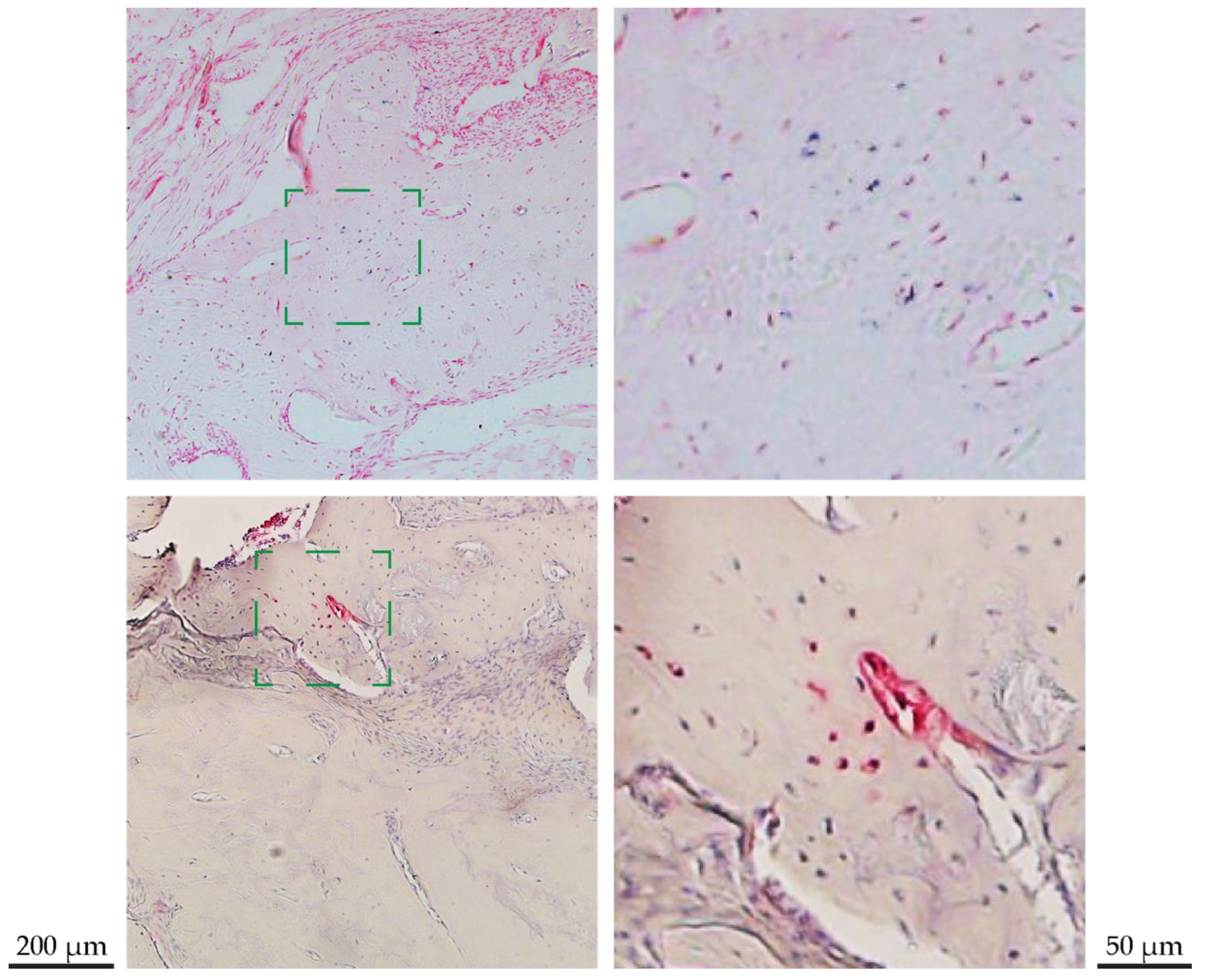 Applsci 12 06286 g012