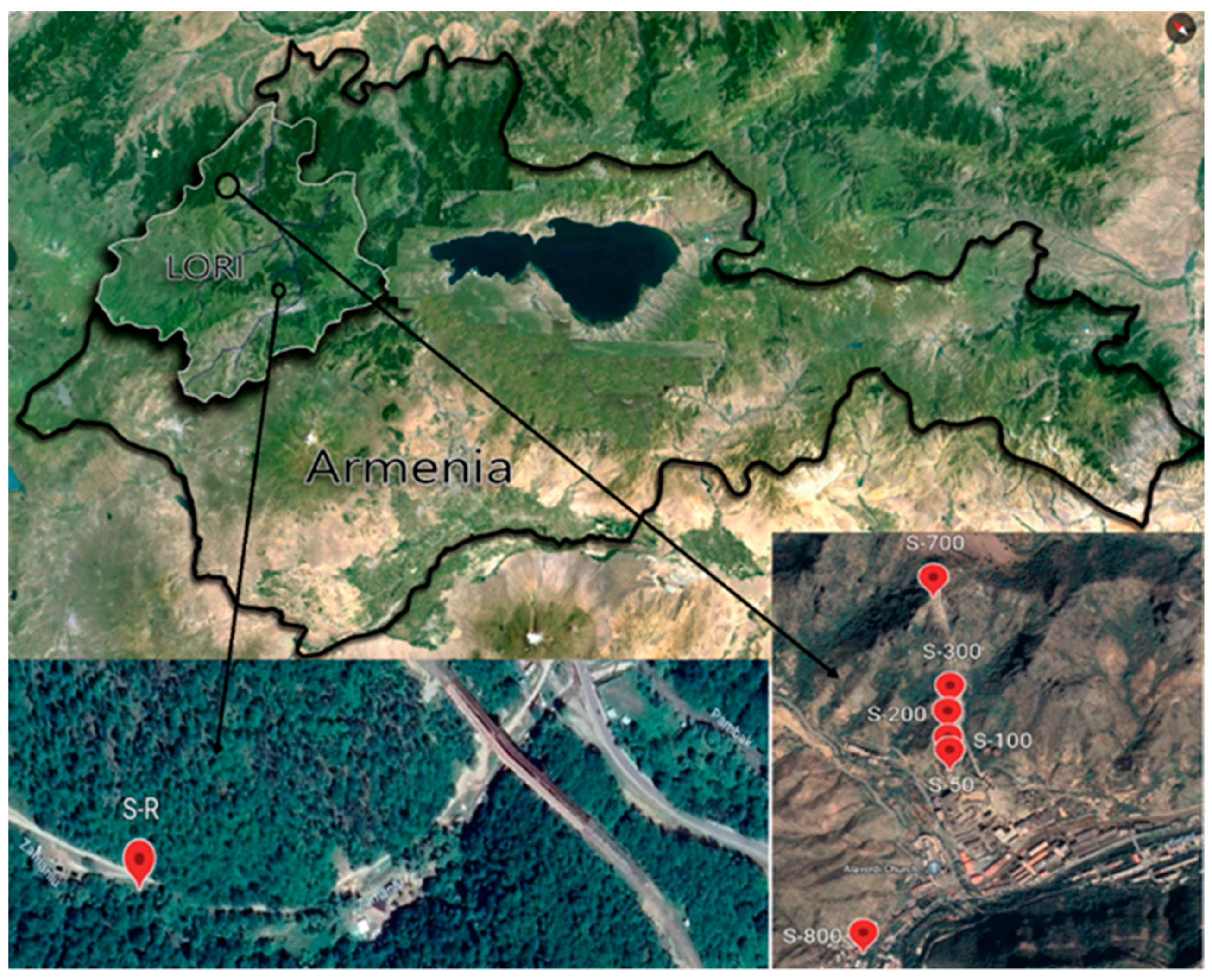 Applsci 12 06312 g001