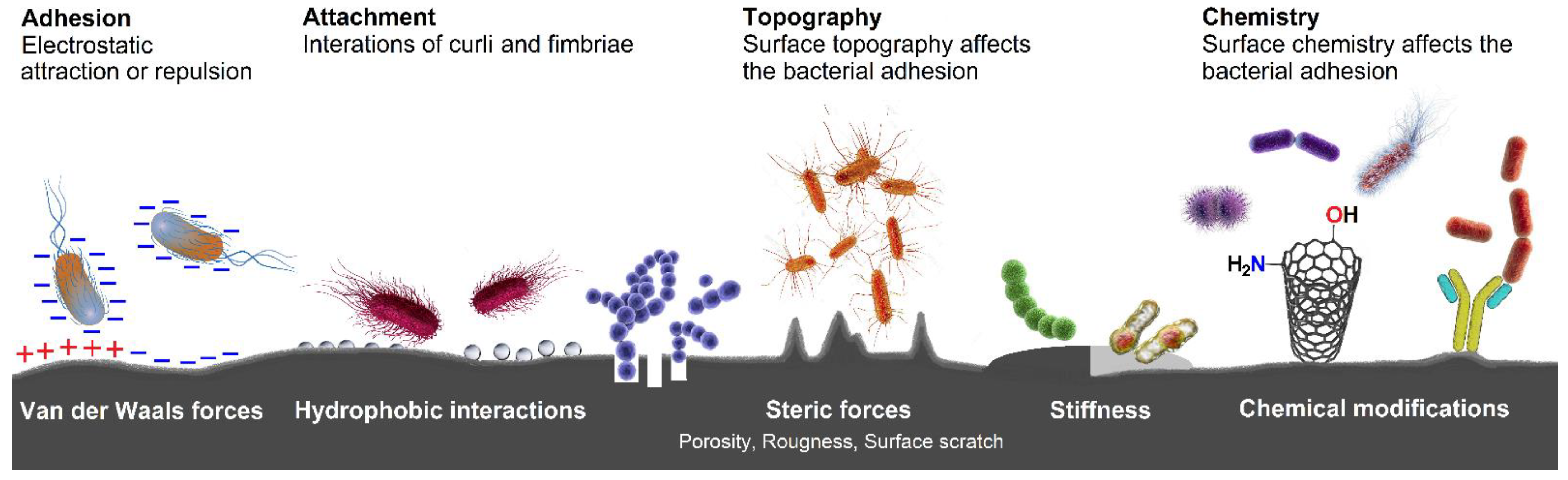 Applsci 12 06320 g002
