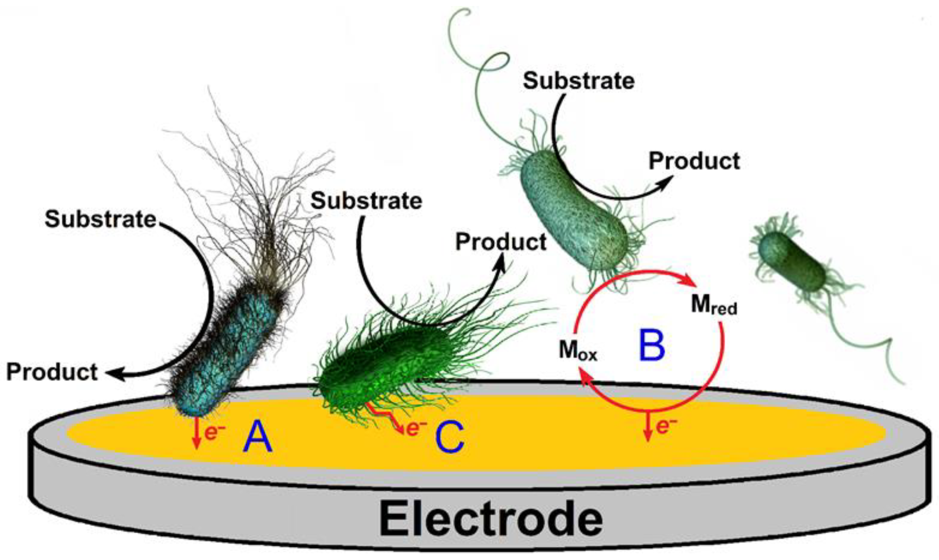 Applsci 12 06320 g004