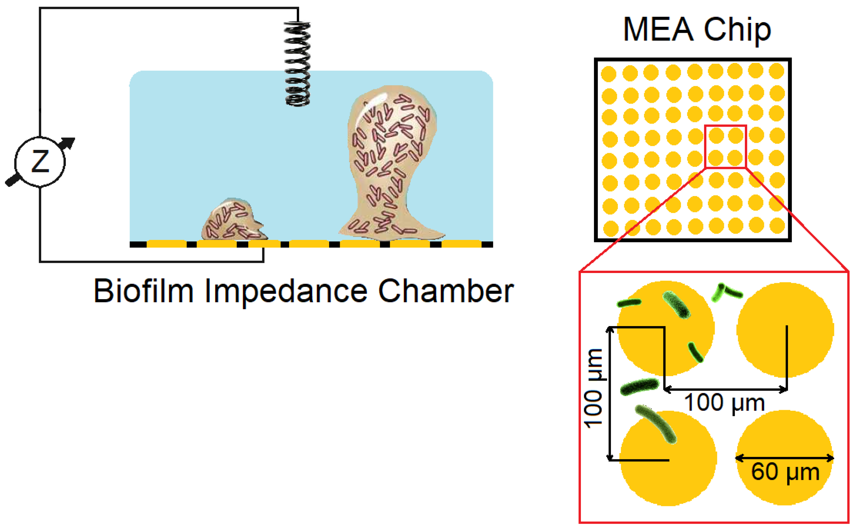 Applsci 12 06320 g005