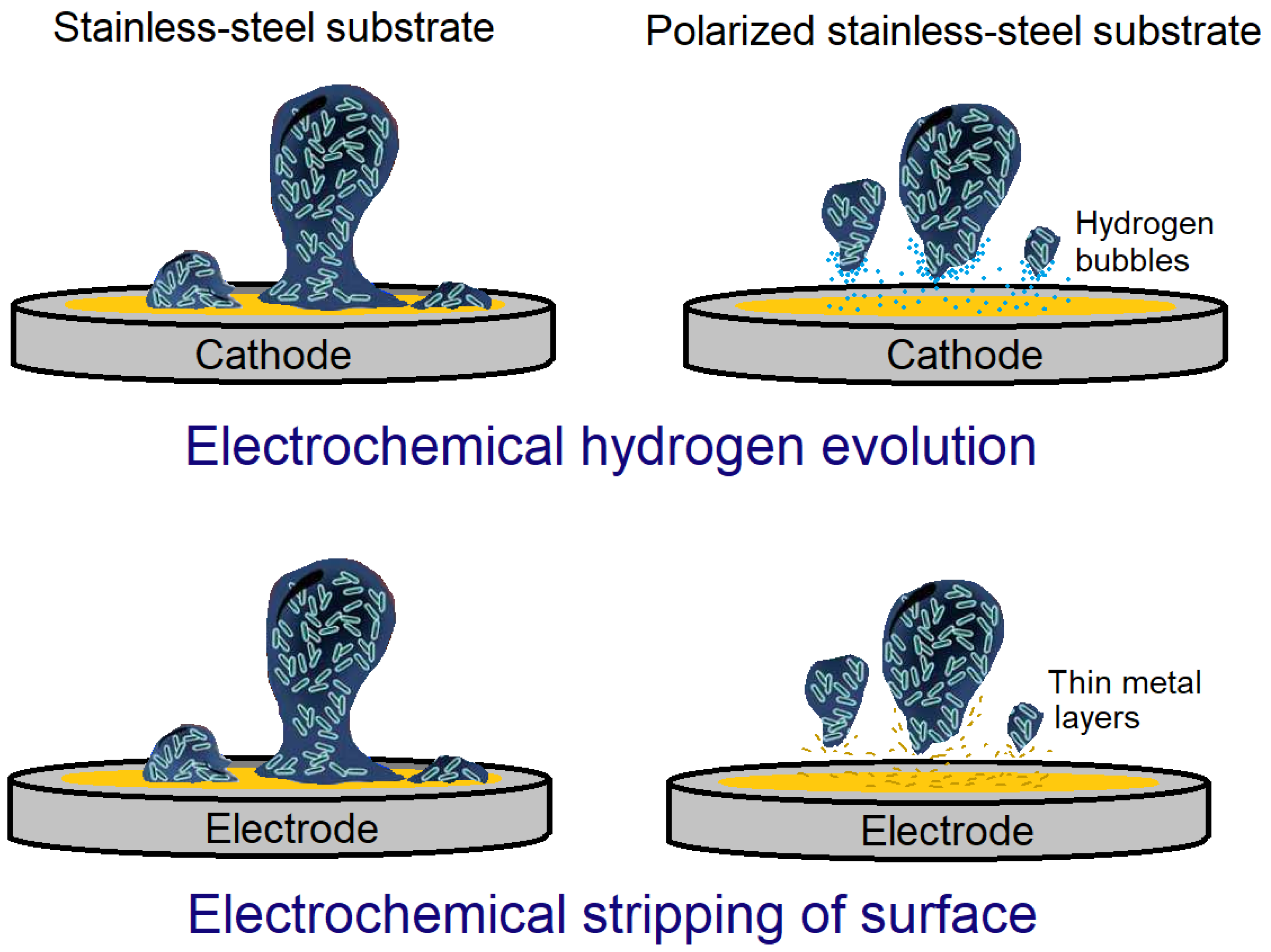 Applsci 12 06320 g006