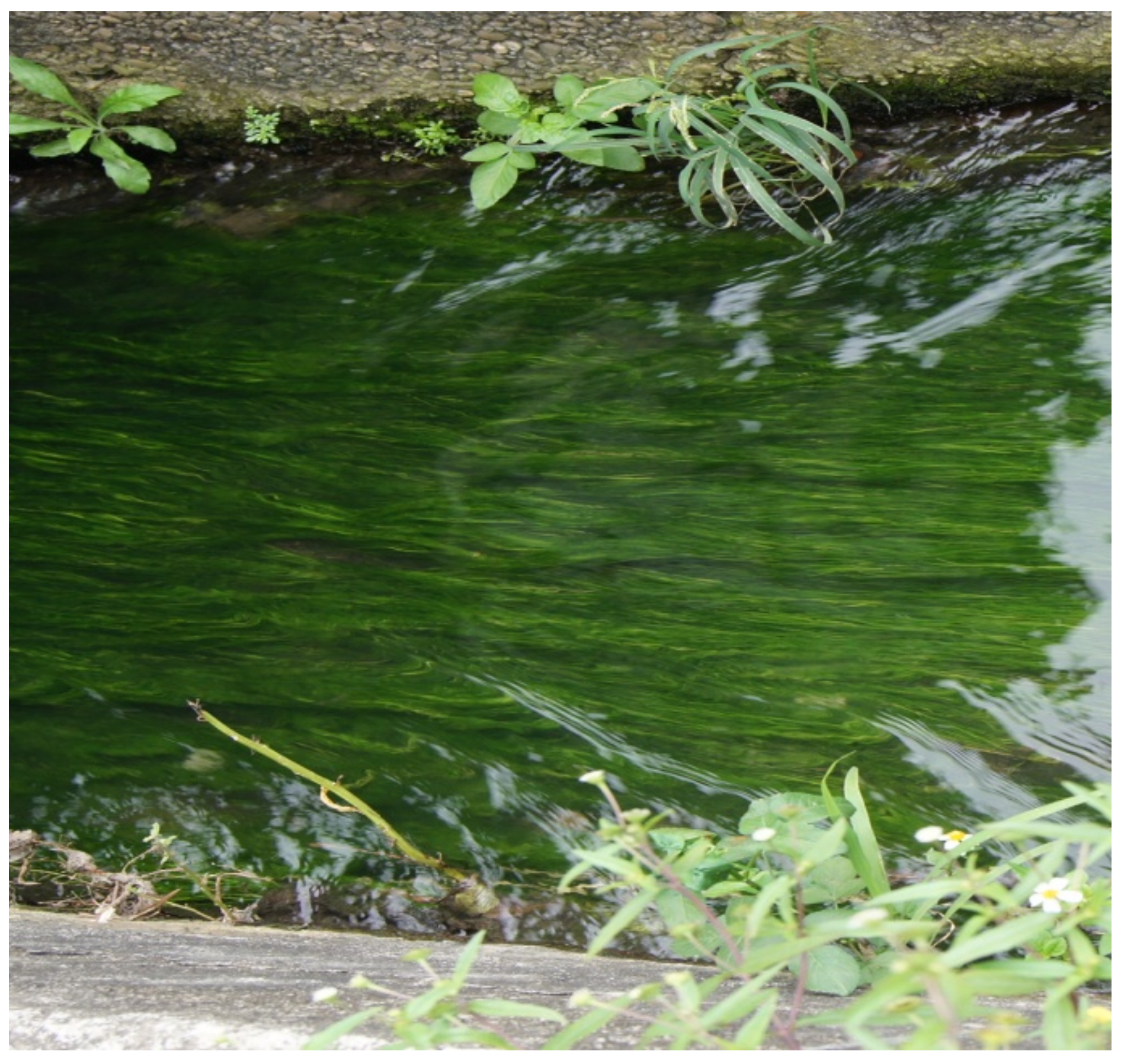 Applsci 12 06367 g001