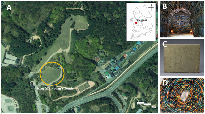 Applsci 12 06385 g001