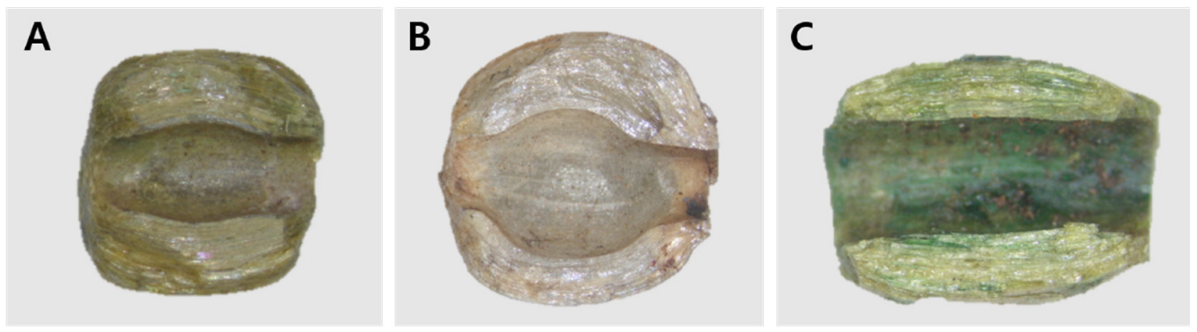 Applsci 12 06385 g005