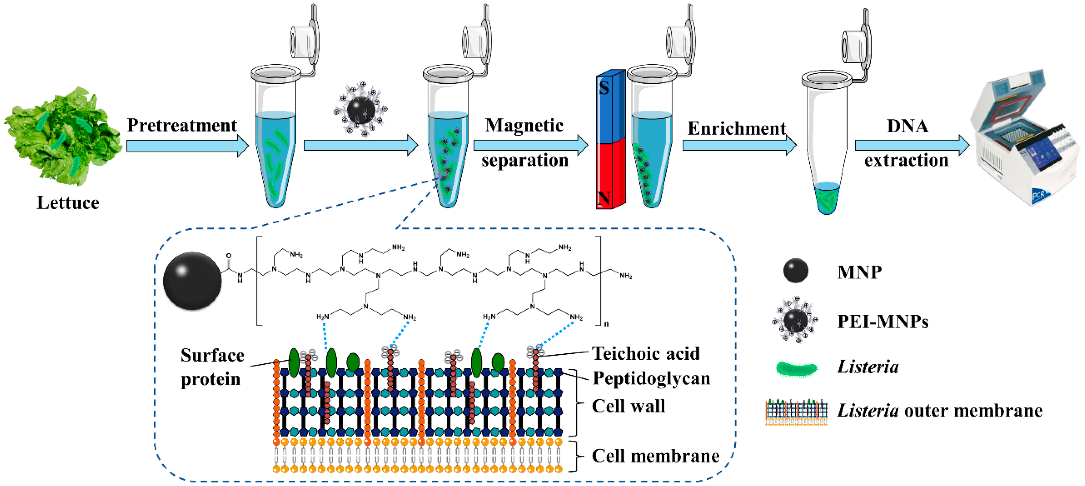 Applsci 12 06415 g001 550