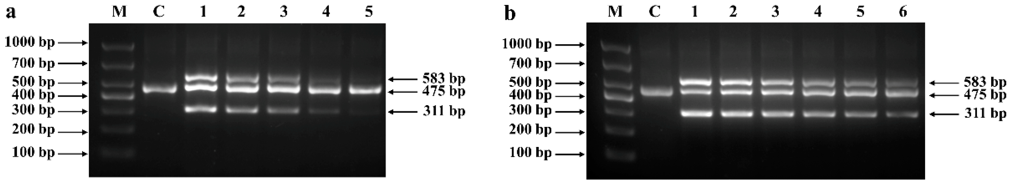 Applsci 12 06415 g005 550