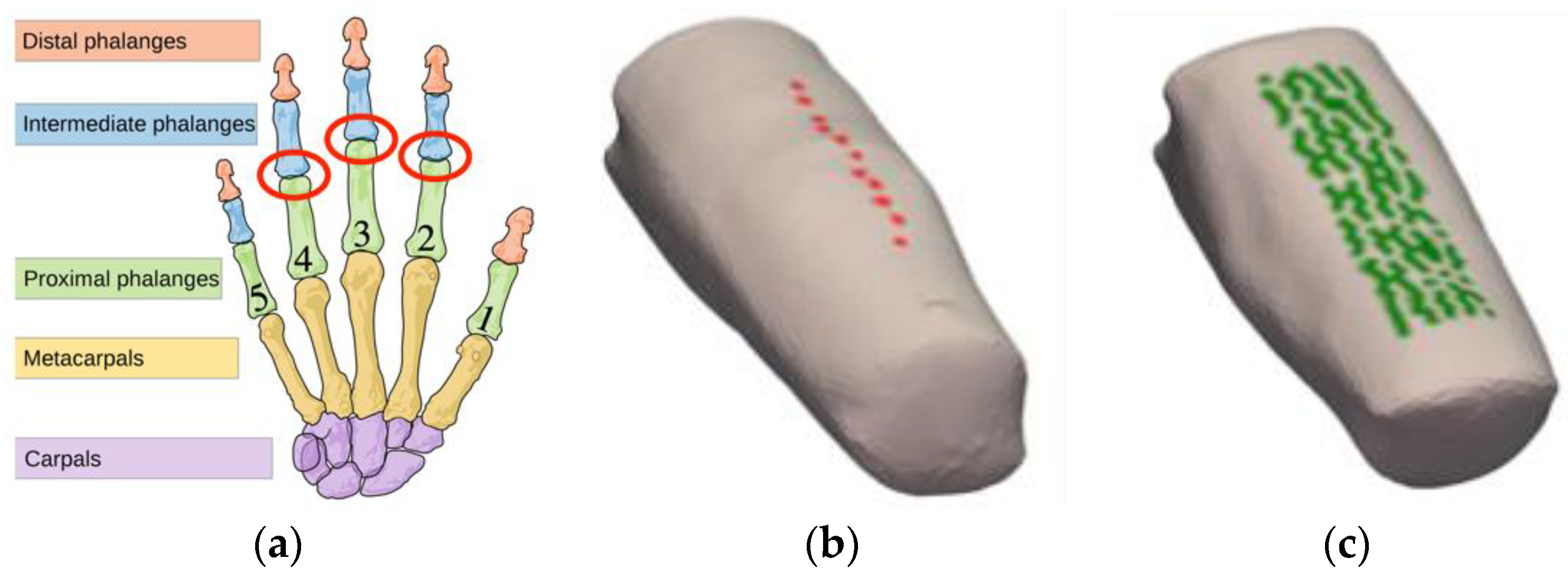 Applsci 12 06418 g001 550