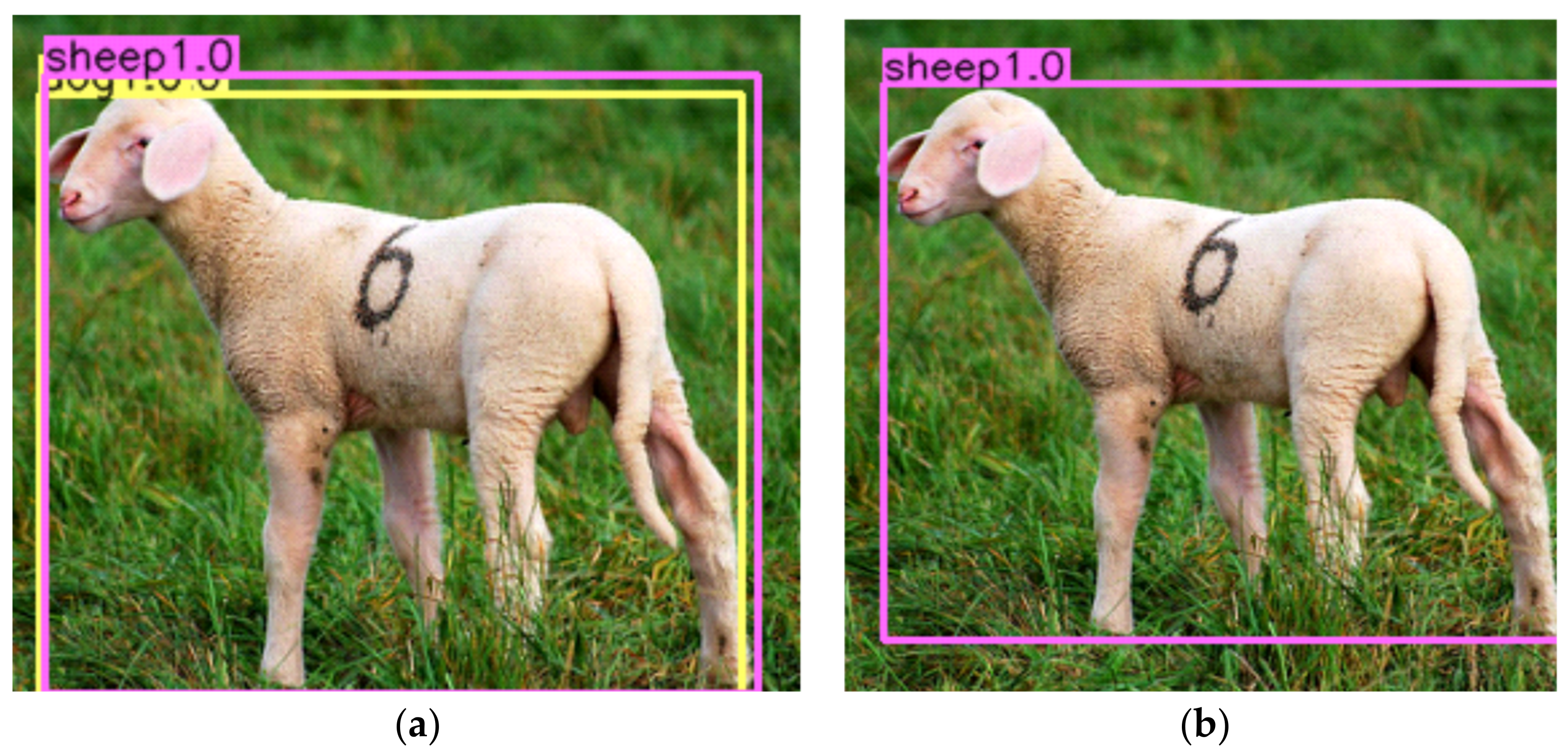 Applsci 12 06419 g005 550