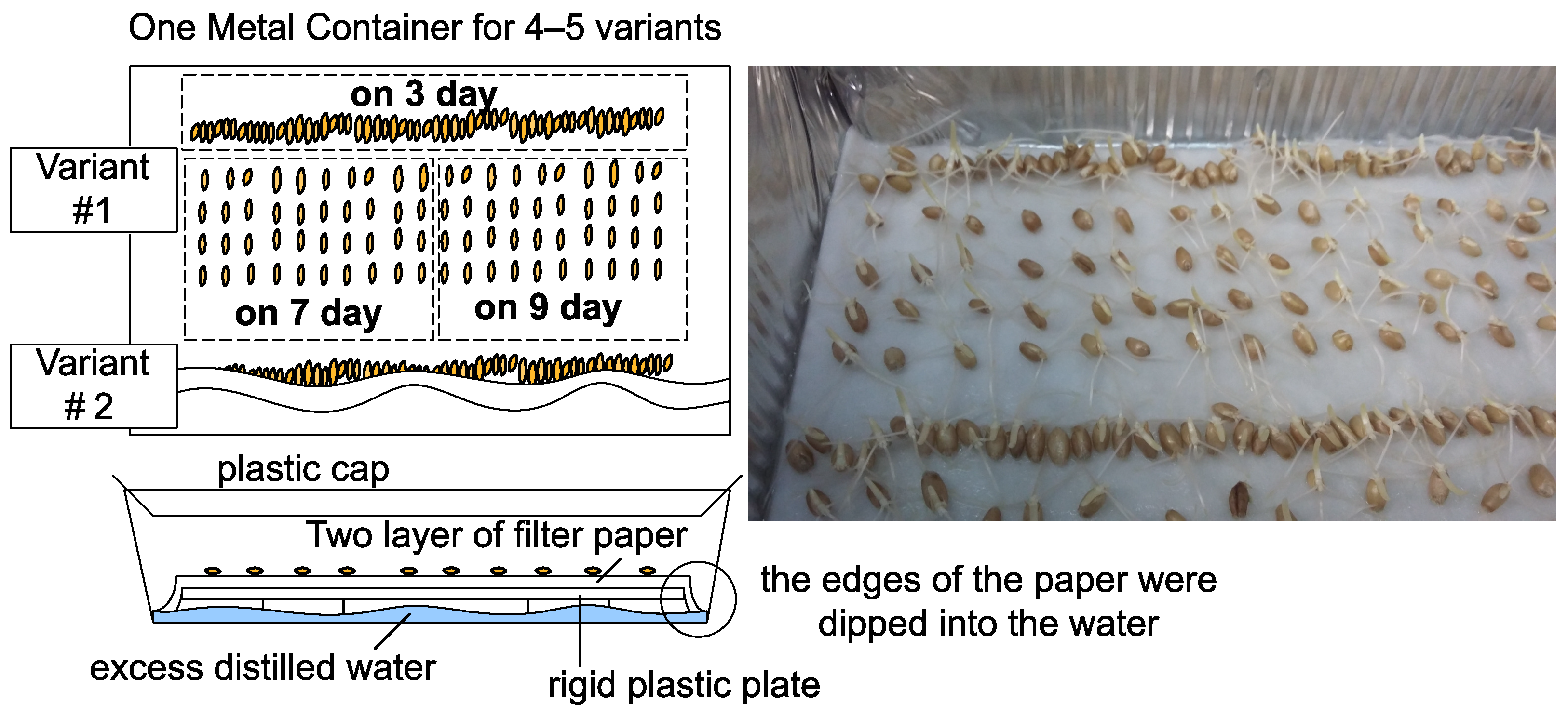 Applsci 12 06447 g002