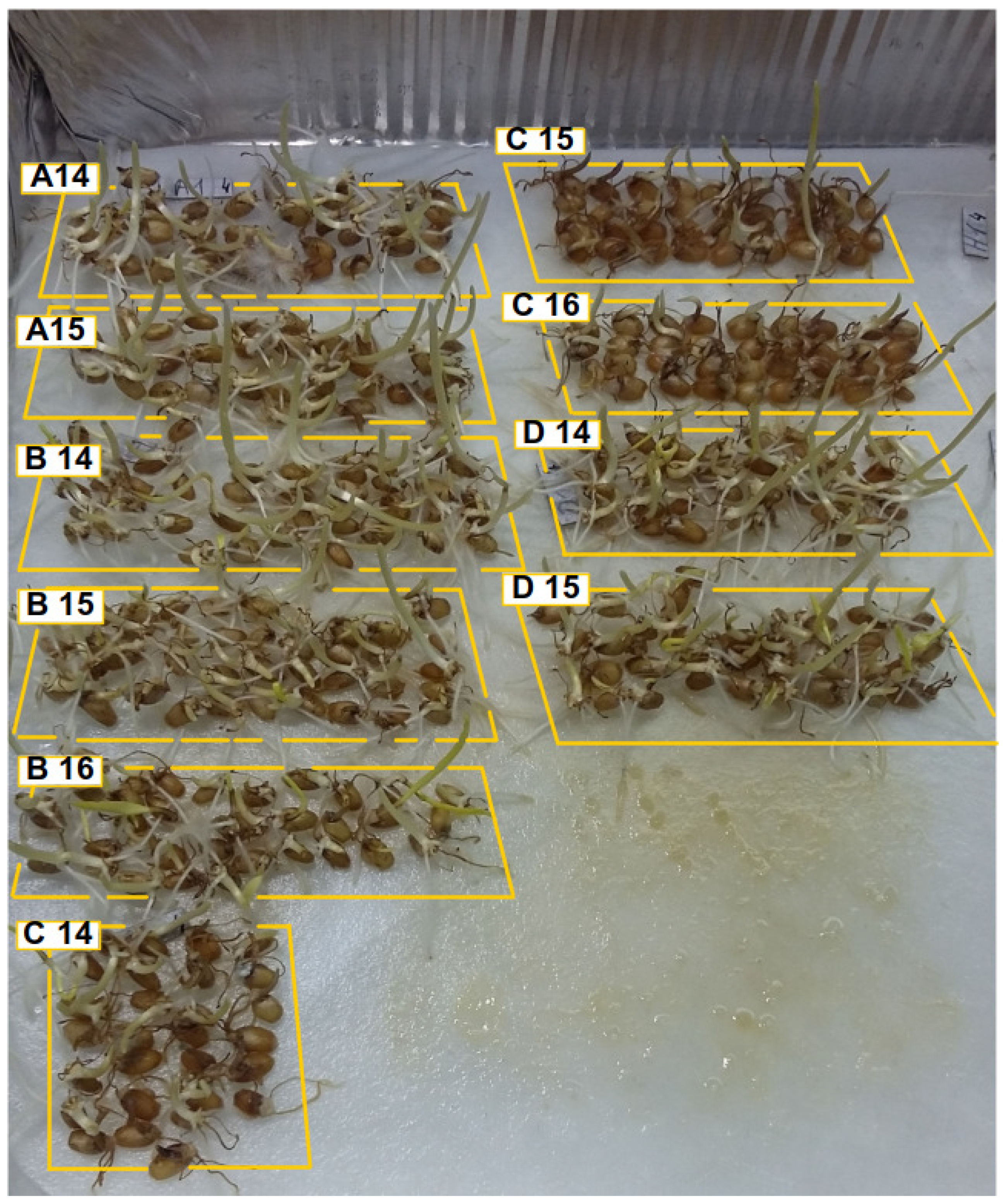 Applsci 12 06447 g003