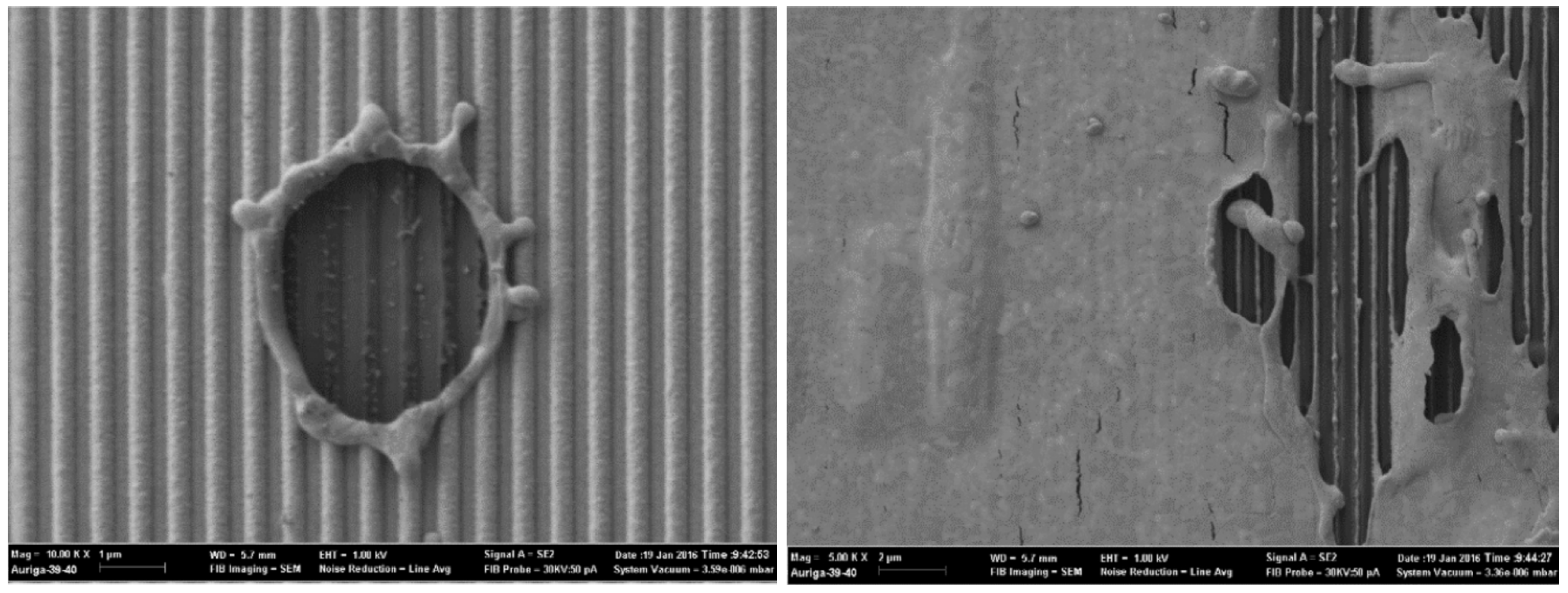 Applsci 12 06503 g004 550