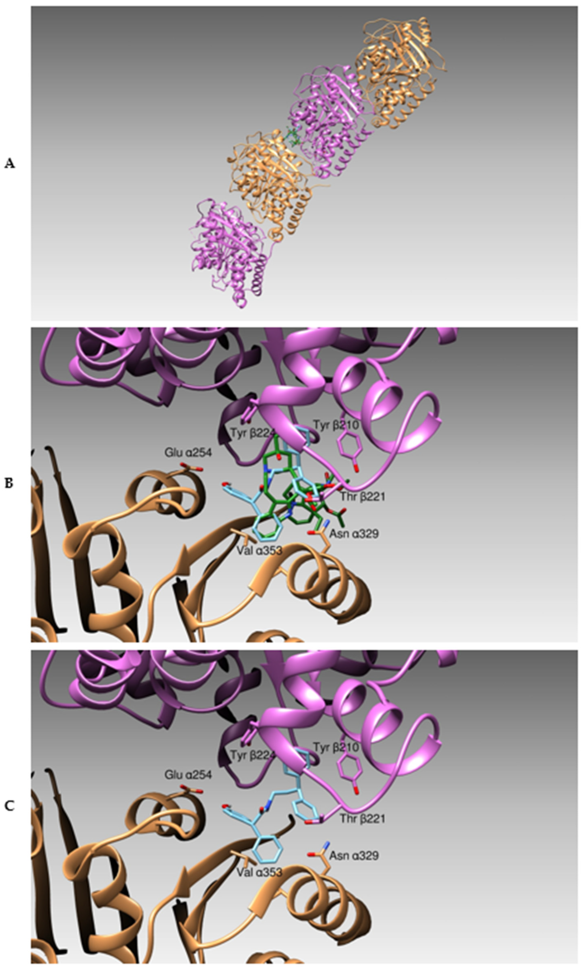 Applsci 12 06531 g002