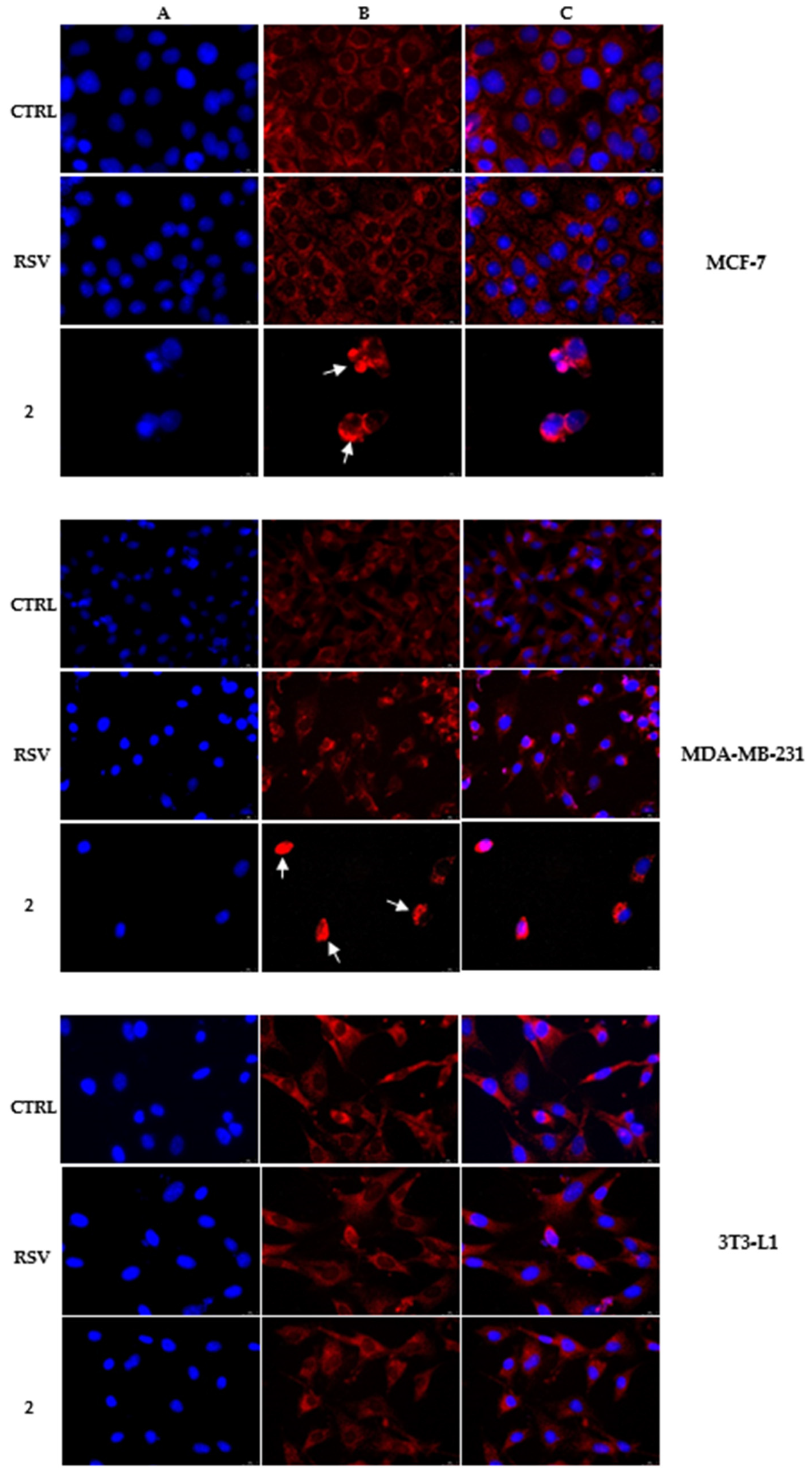Applsci 12 06531 g004