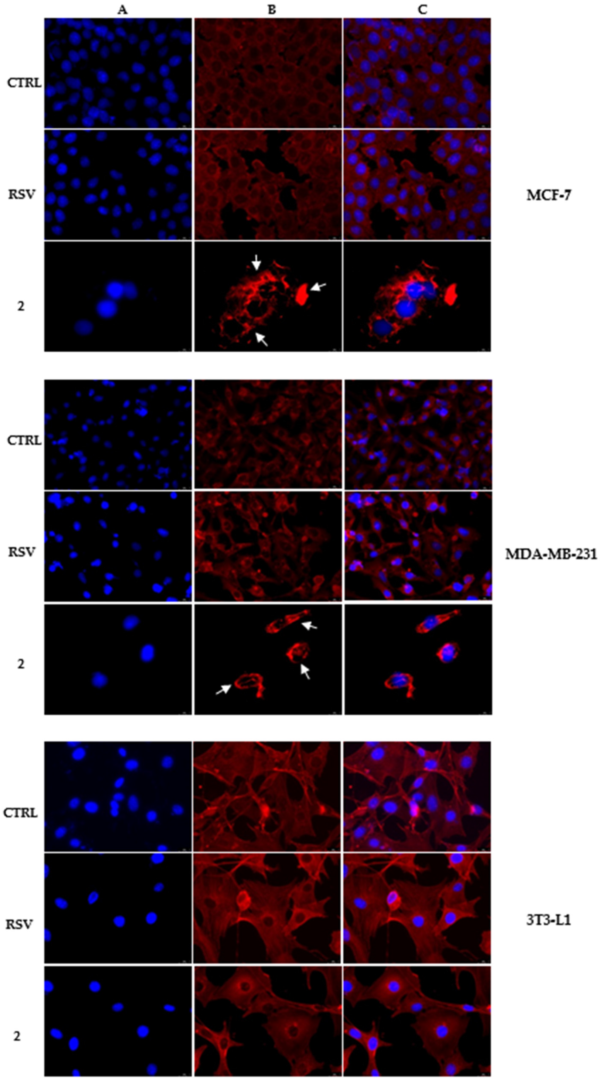 Applsci 12 06531 g006