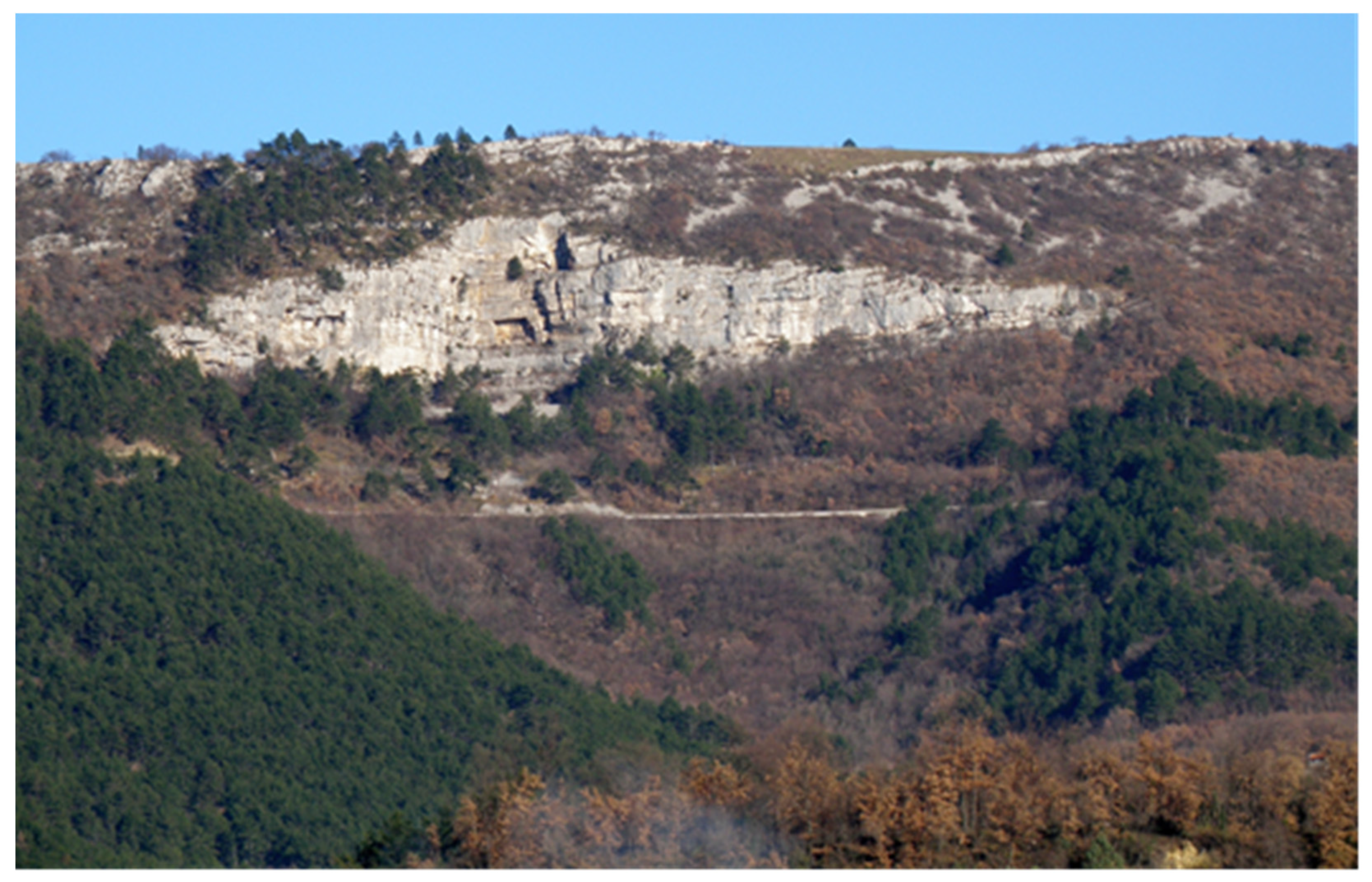 Applsci 12 06532 g001