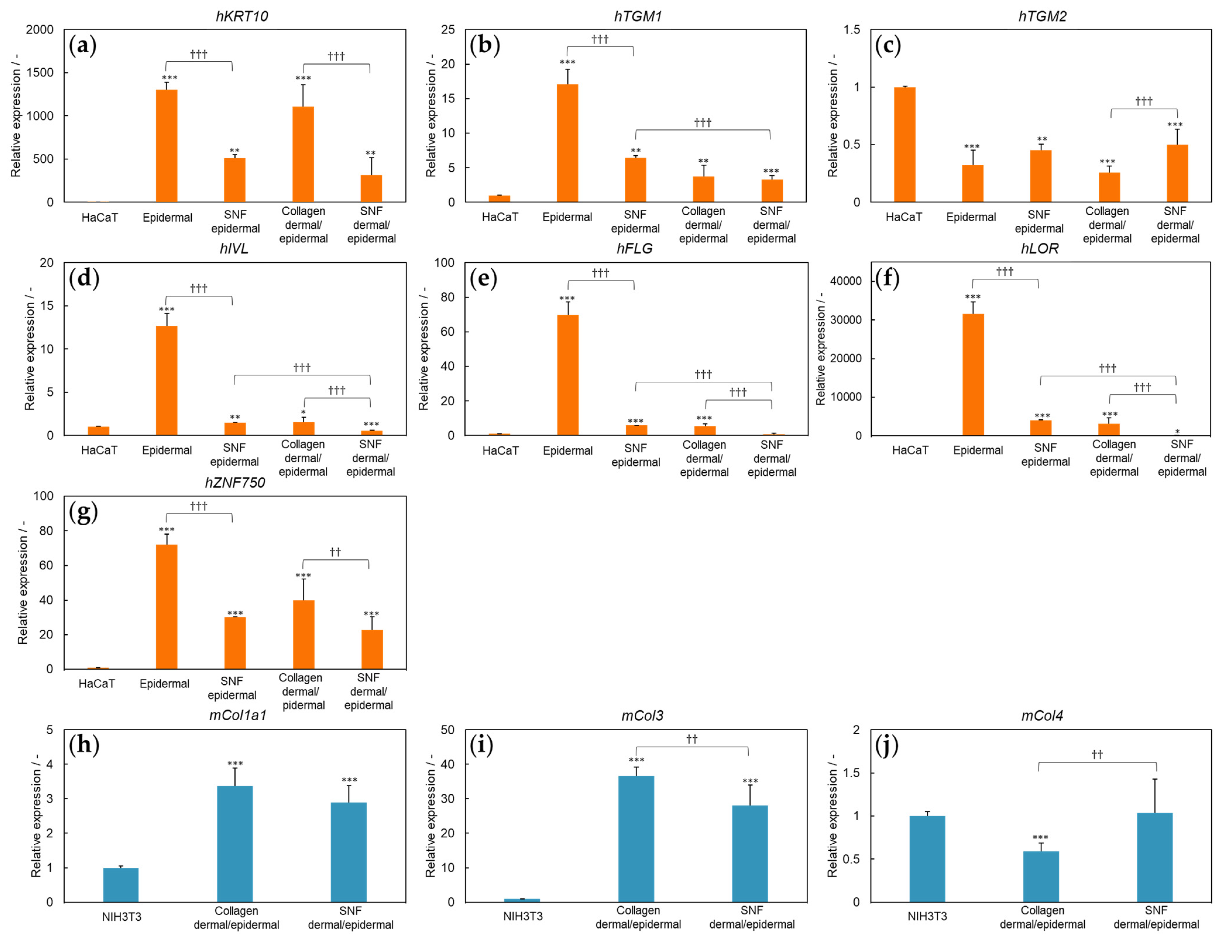 Applsci 12 06537 g003 Applsci 12 06537 g003