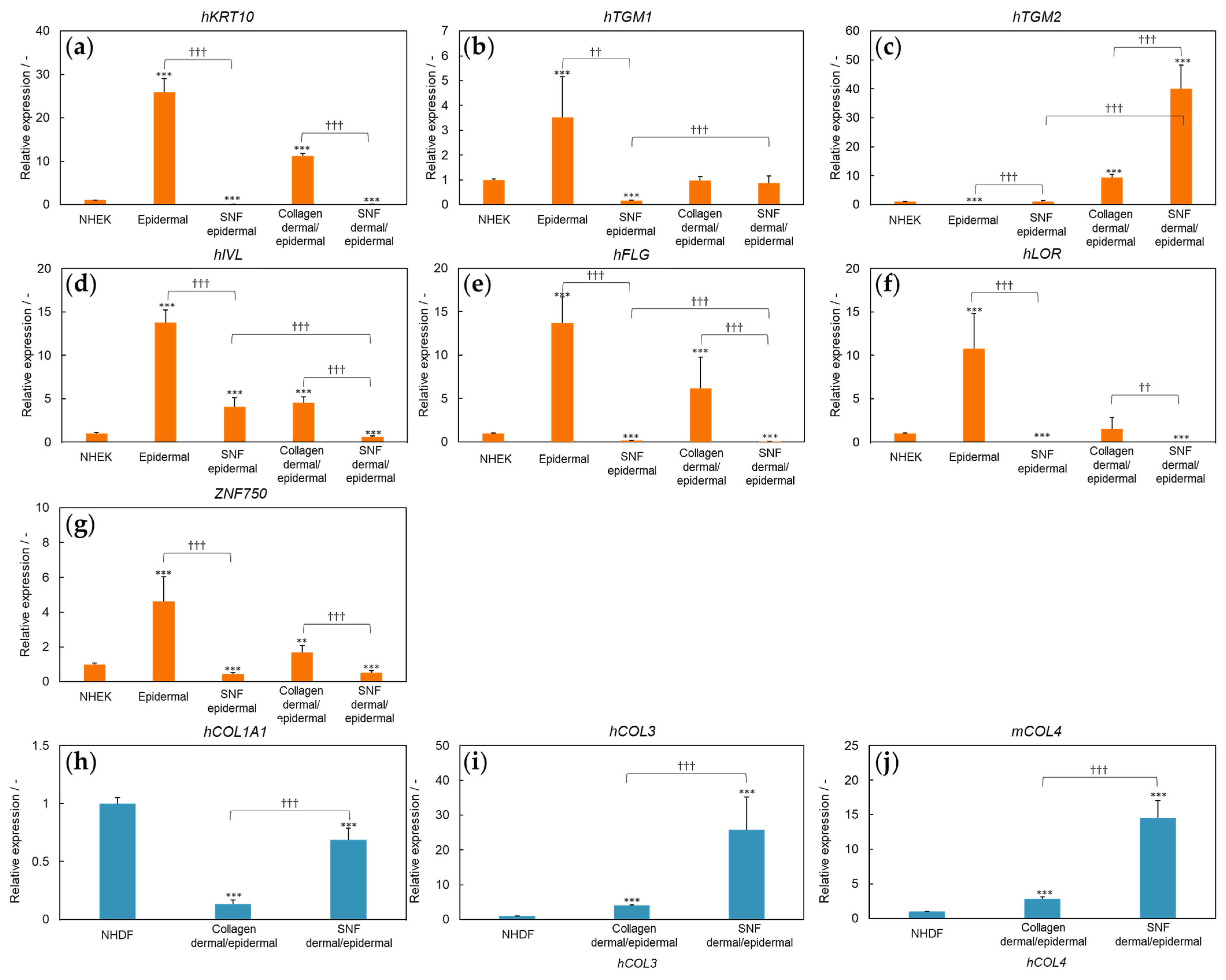 Applsci 12 06537 g004 Applsci 12 06537 g004
