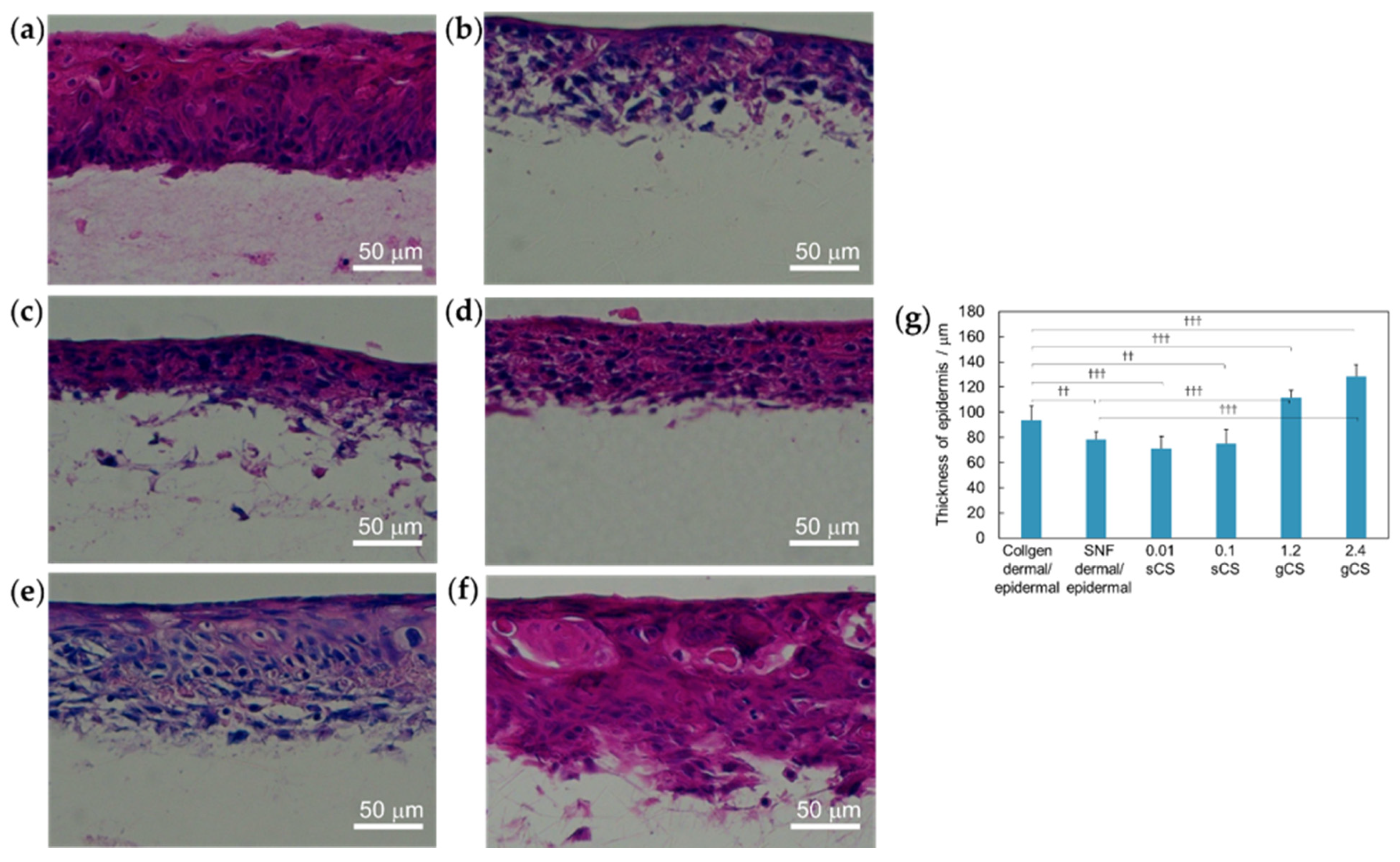 Applsci 12 06537 g007 Applsci 12 06537 g007