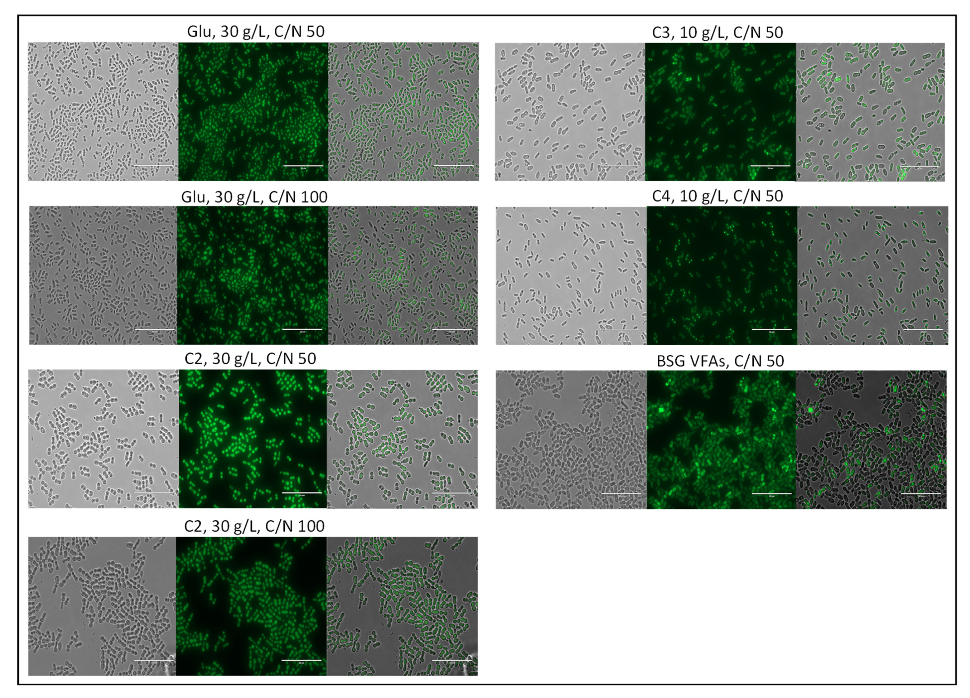 Applsci 12 06541 g010