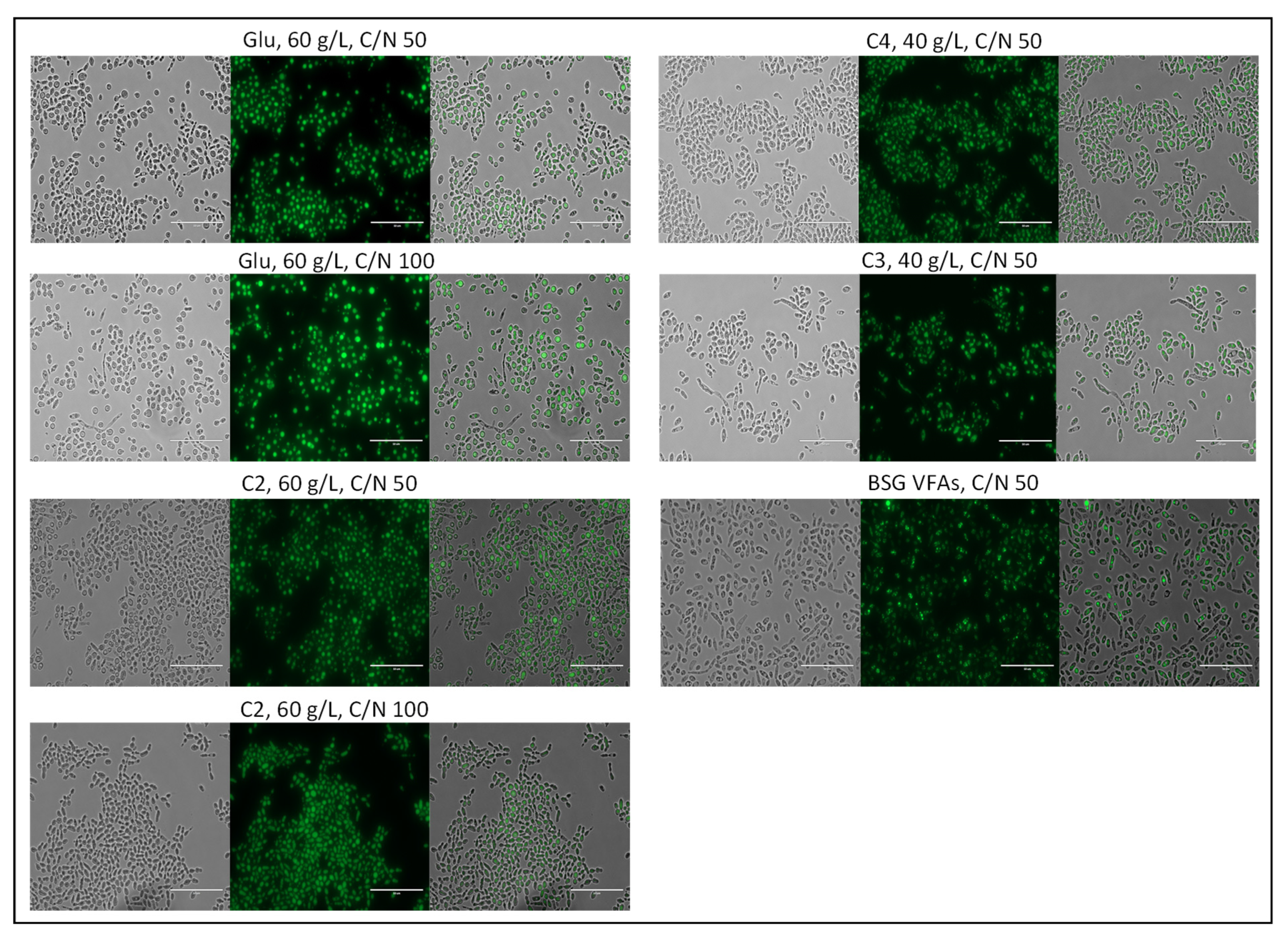 Applsci 12 06541 g011