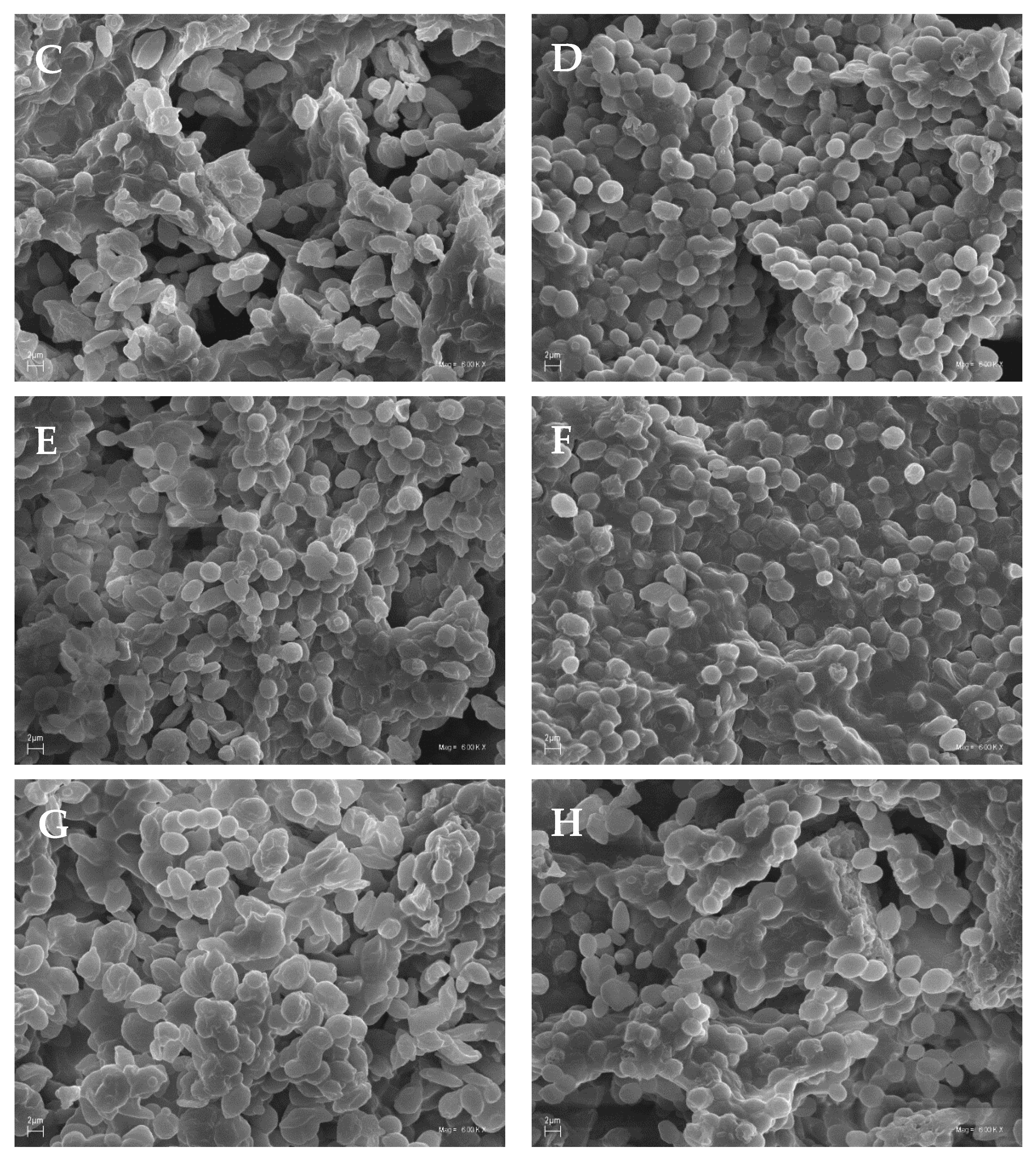 Applsci 12 06577 g002b 550