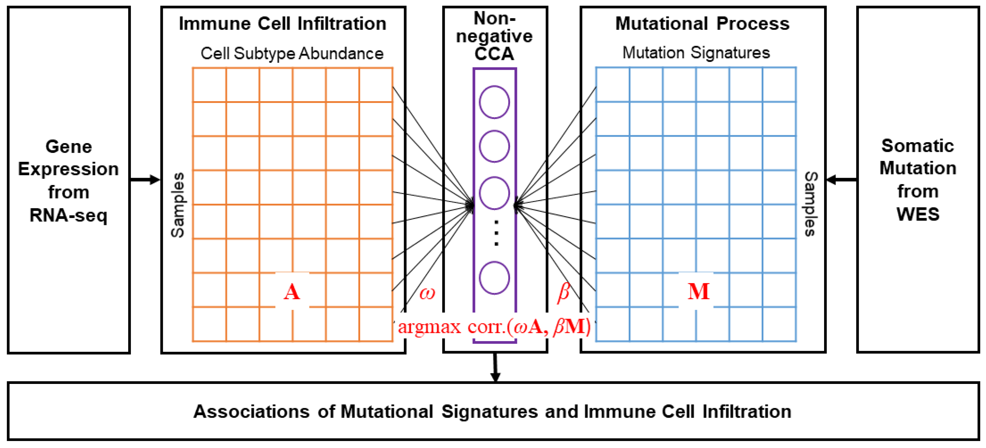Applsci 12 06596 g001