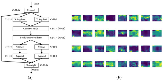 Computer Vision and Image Processing