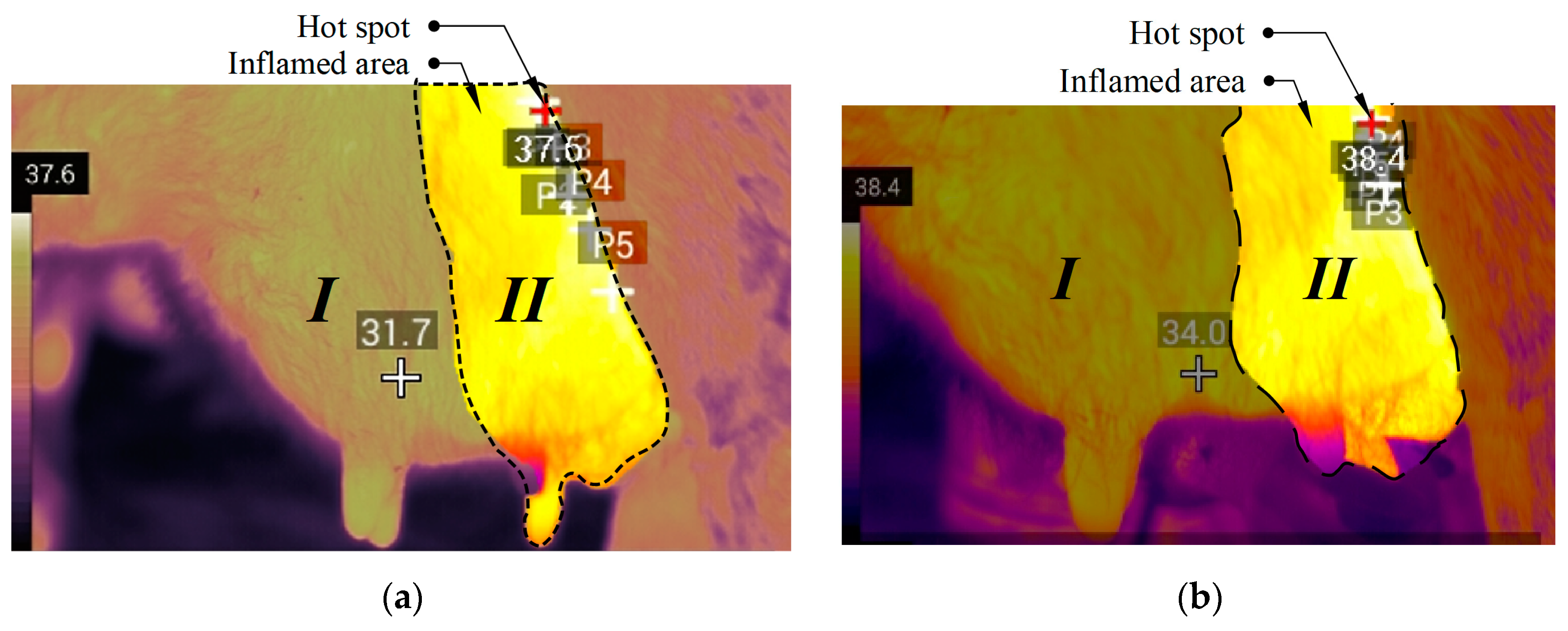 Applsci 12 06621 g007 550