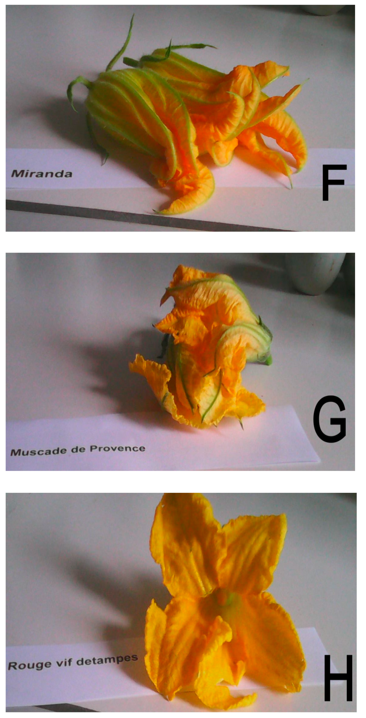 Applsci 12 06673 g001b