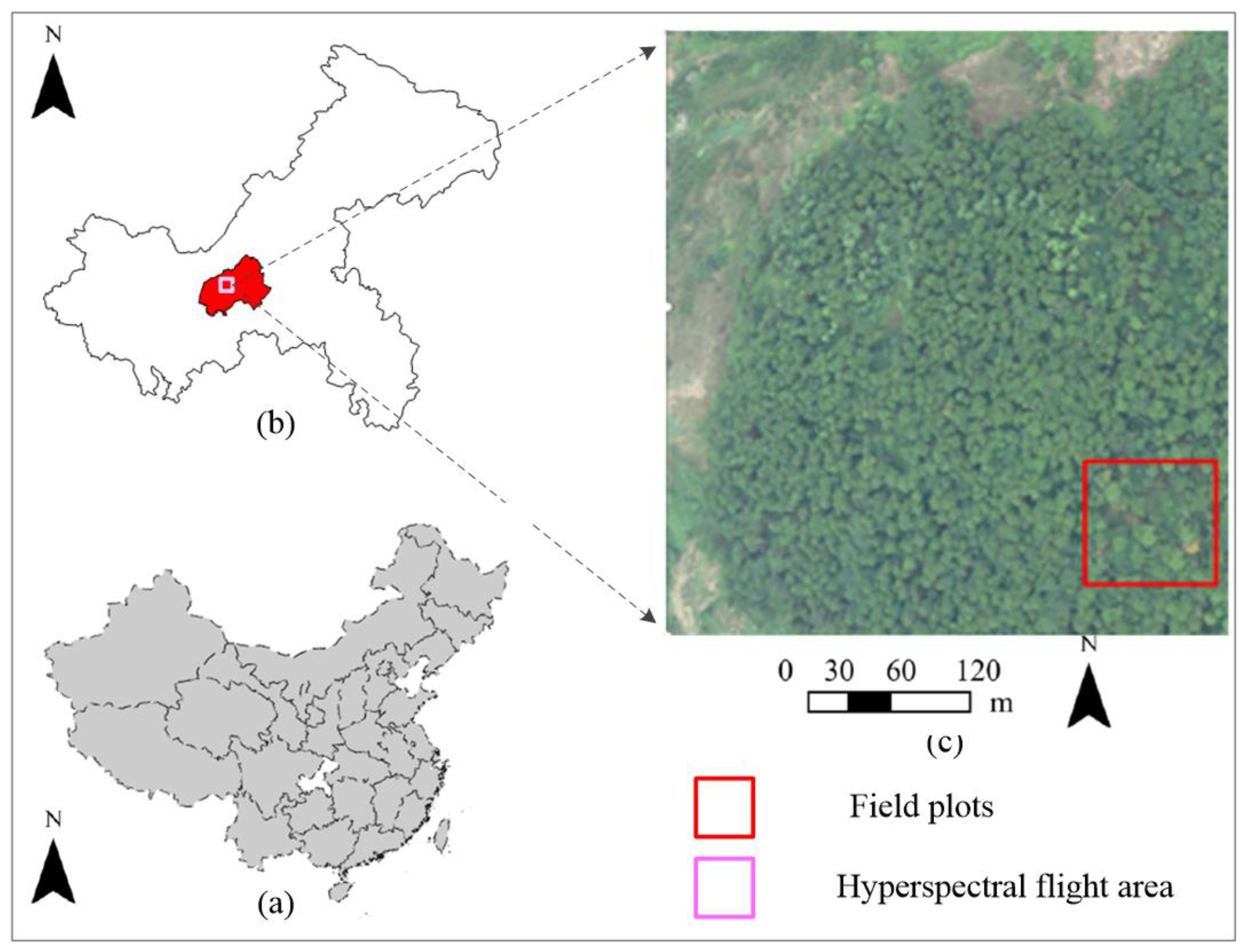 Applsci 12 06676 g001