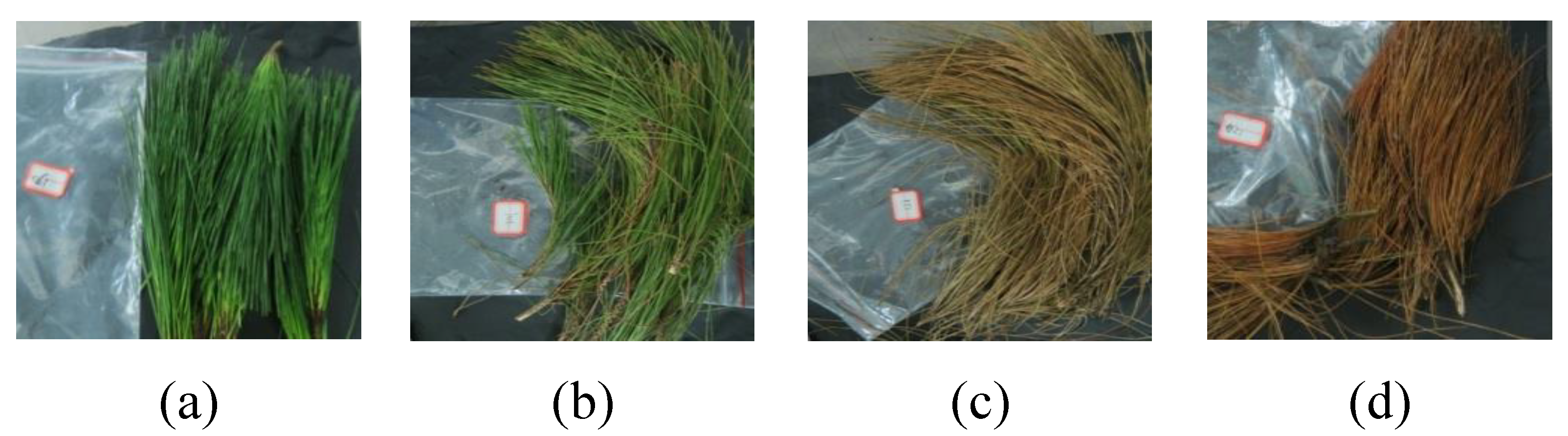 Applsci 12 06676 g003