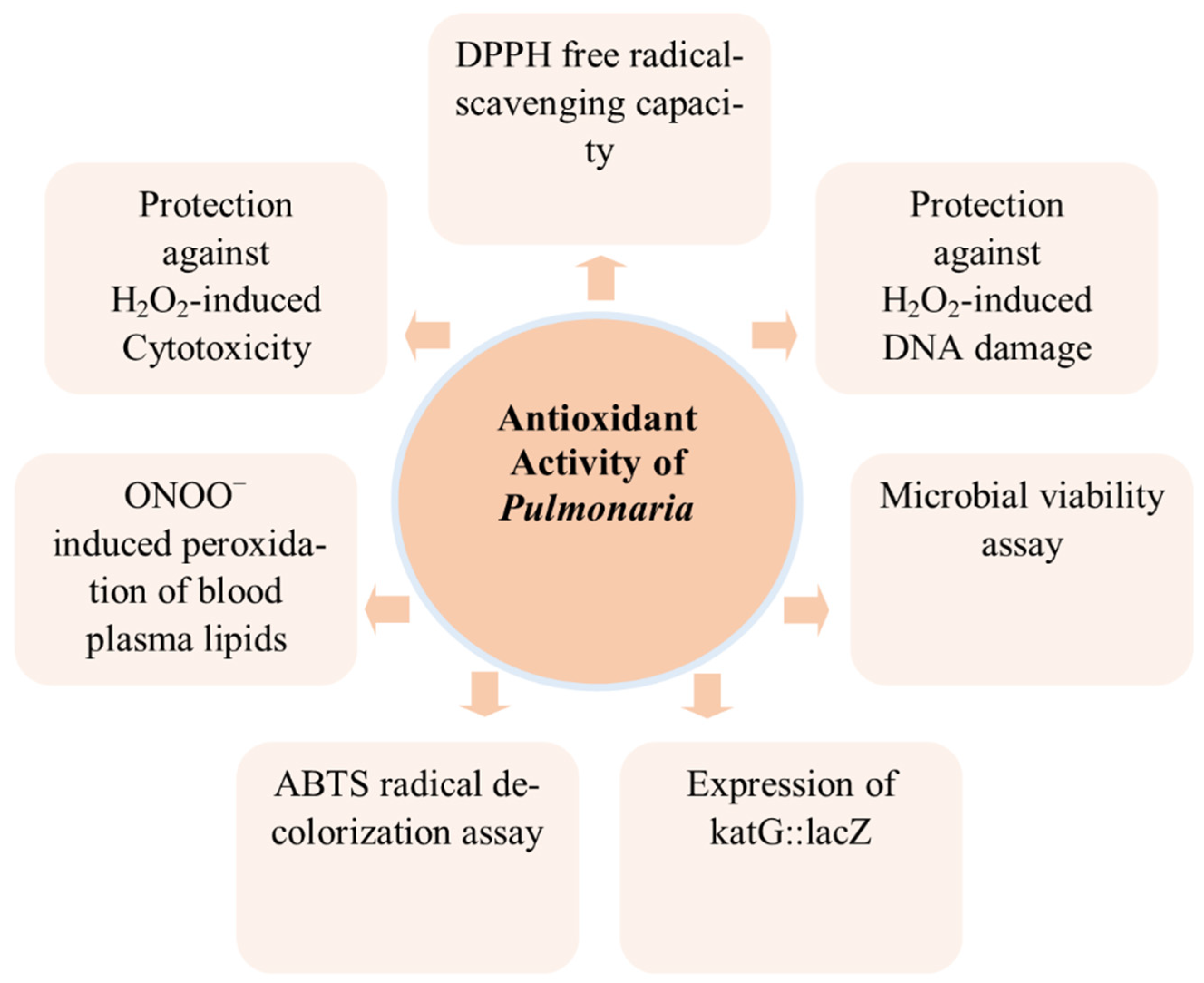 Applsci 12 06678 g002 Applsci 12 06678 g002