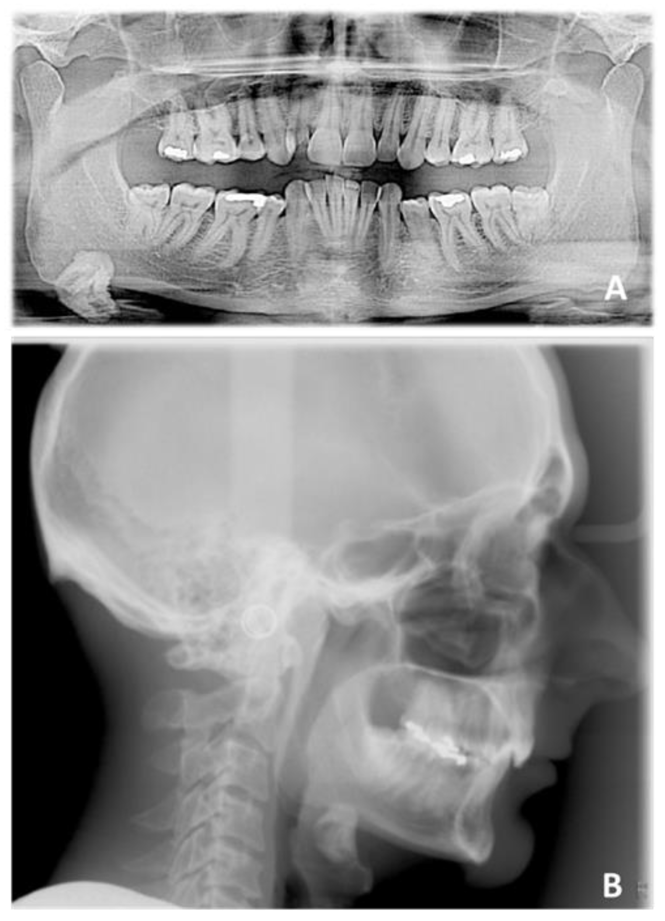 Applsci 12 06709 g010 550