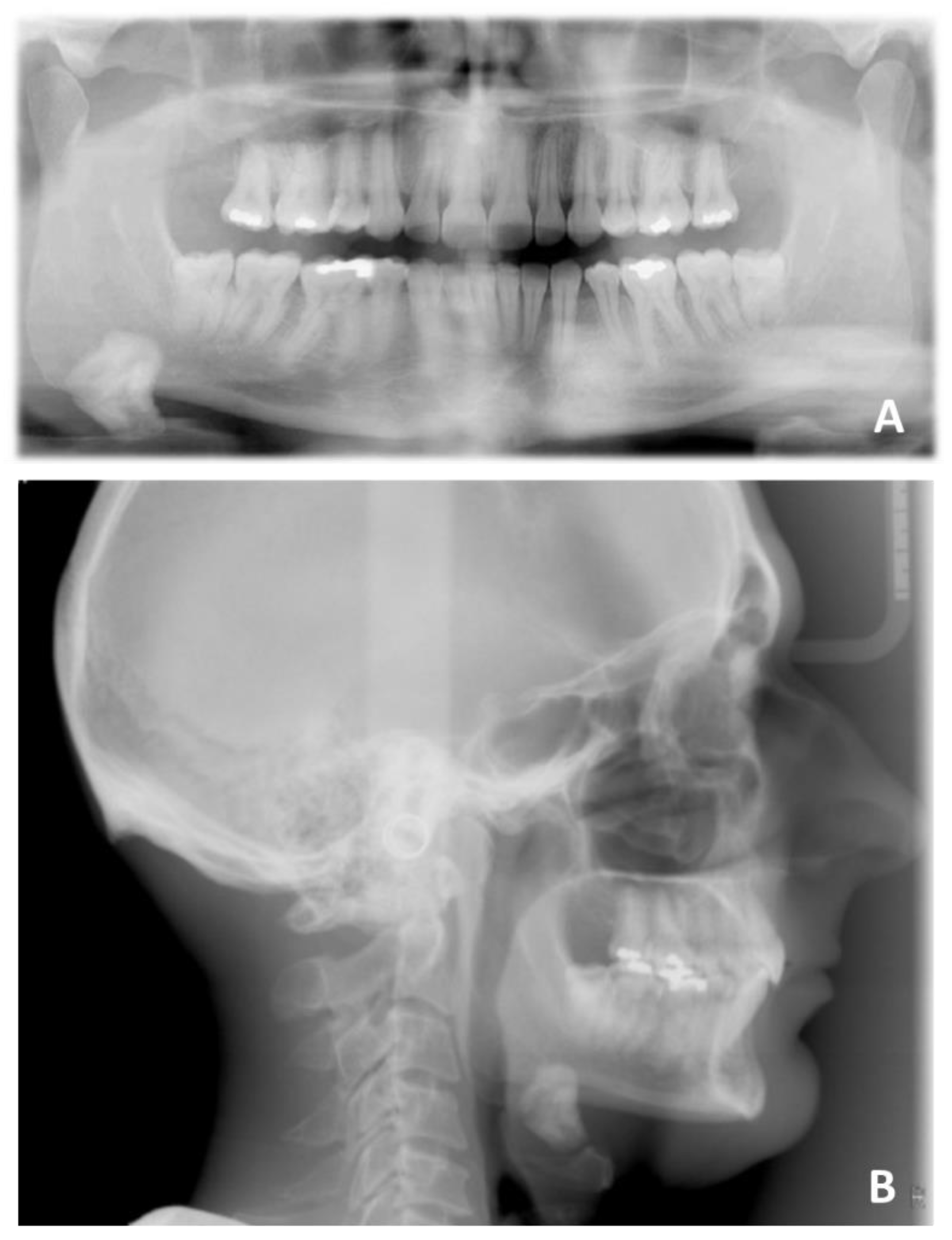 Applsci 12 06709 g013 550