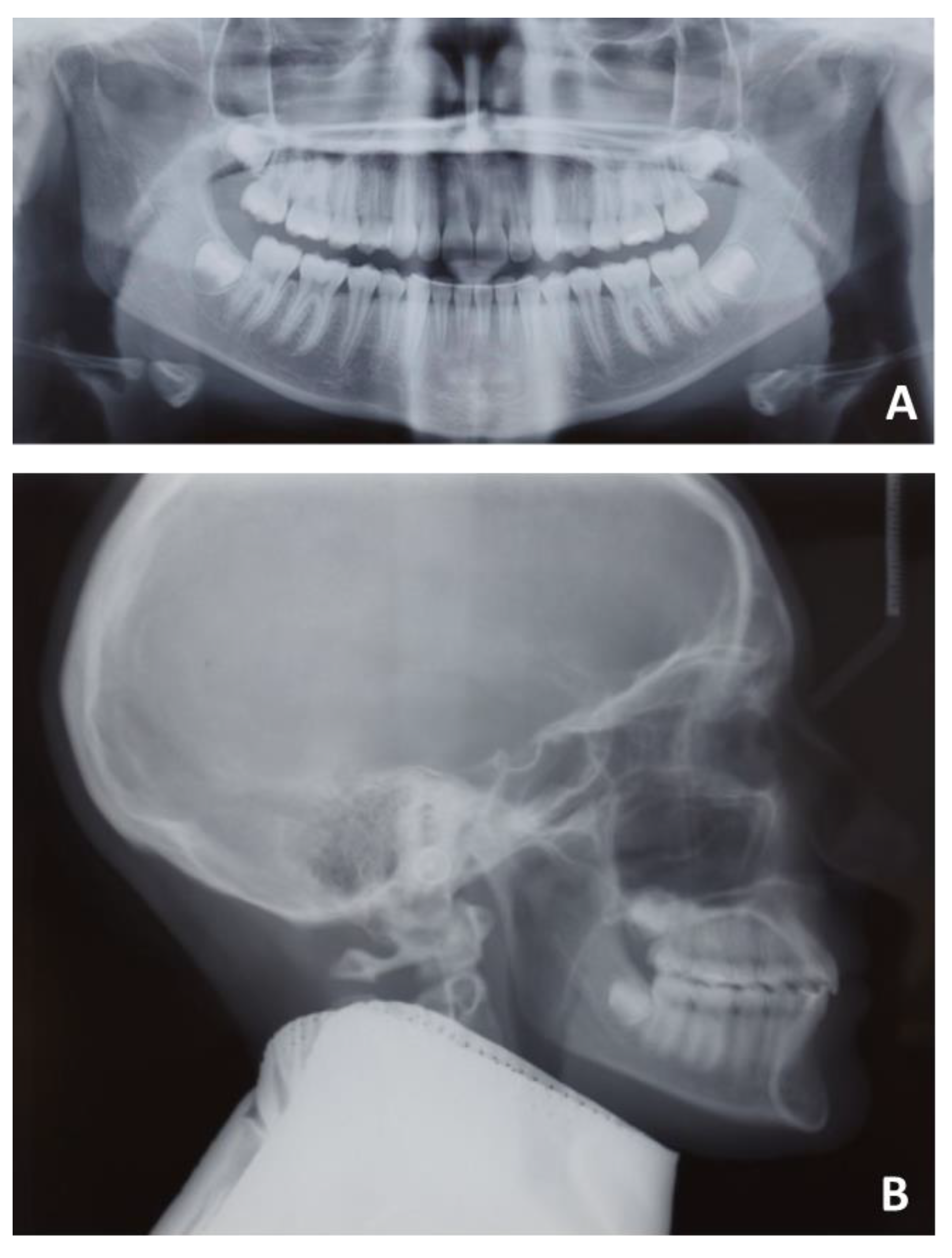 Applsci 12 06709 g019 550