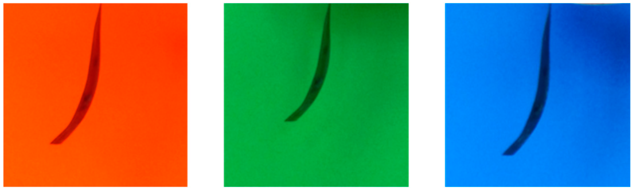 Applsci 12 06744 g016 550