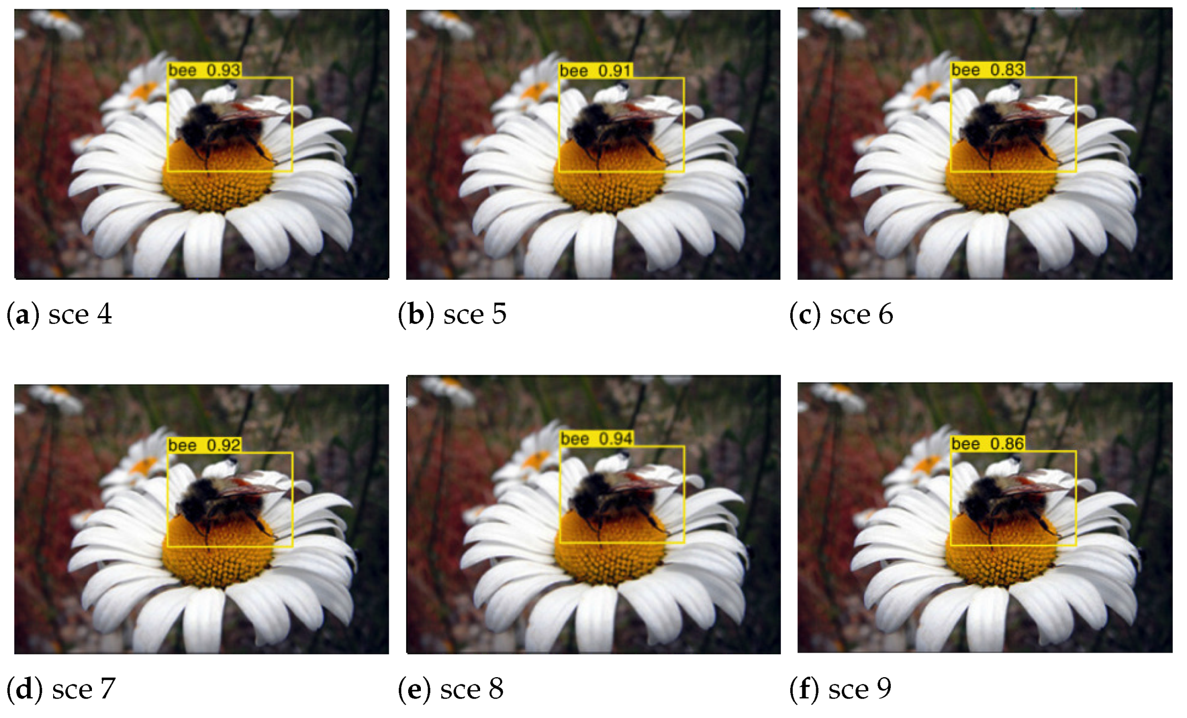 Applsci 12 06753 g021 550