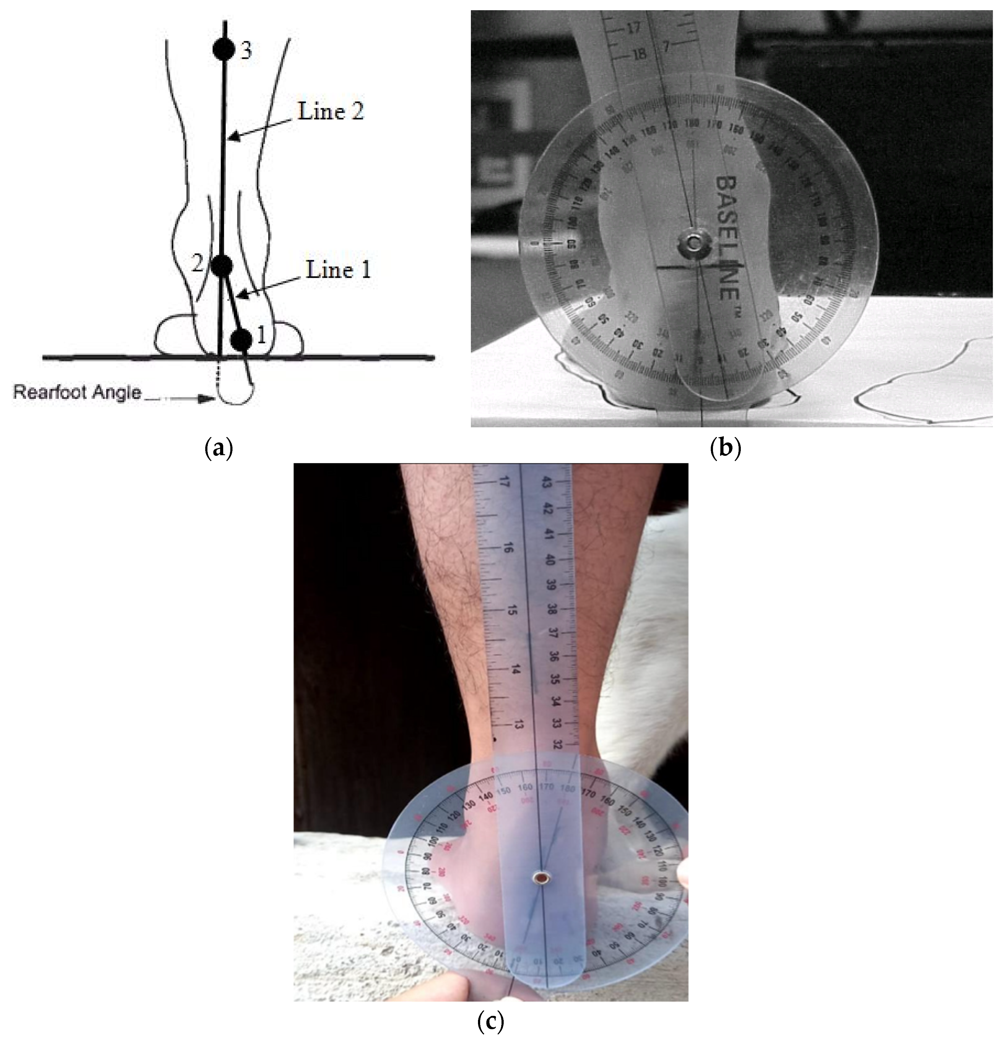 Applsci 12 06764 g003 Applsci 12 06764 g003