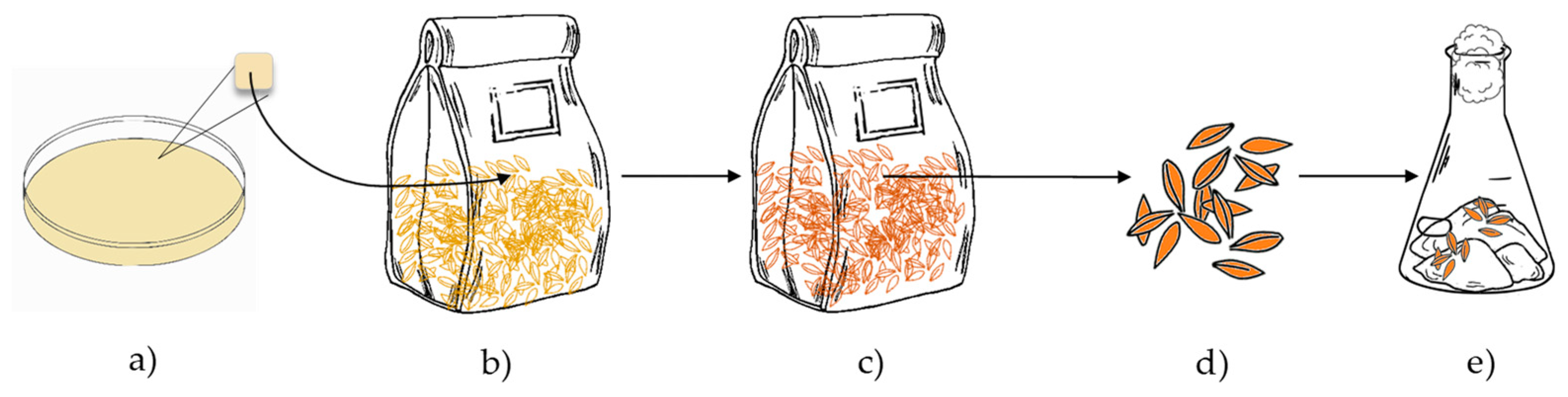 Applsci 12 06800 g001