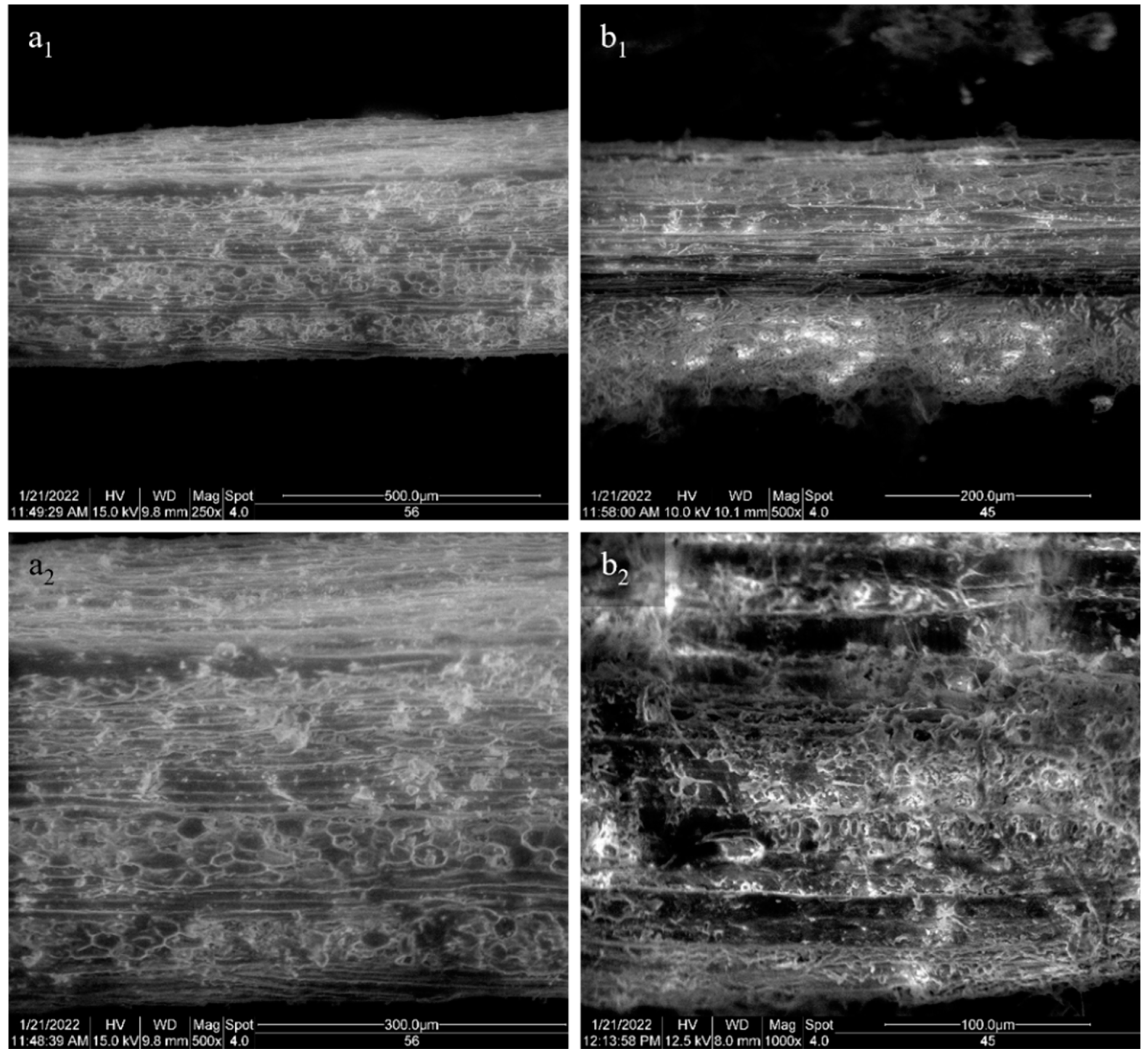 Applsci 12 06800 g004