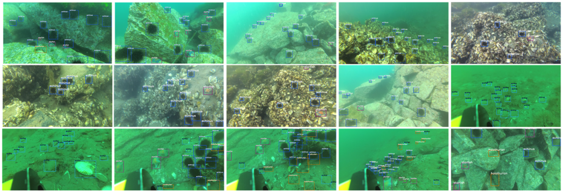 Applsci 12 06801 g003