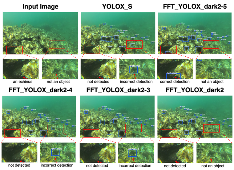 Applsci 12 06801 g006