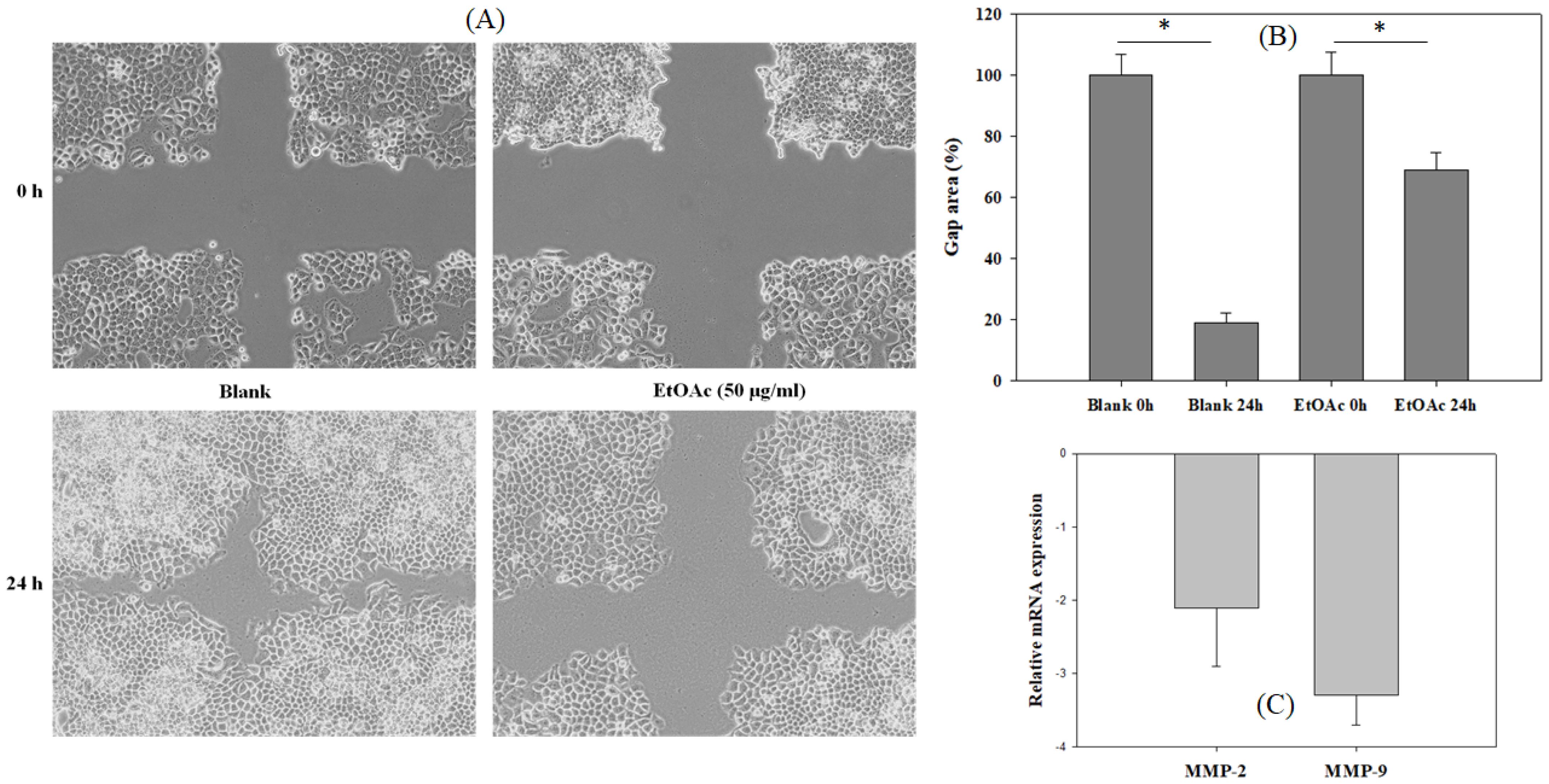 Applsci 12 06817 g003