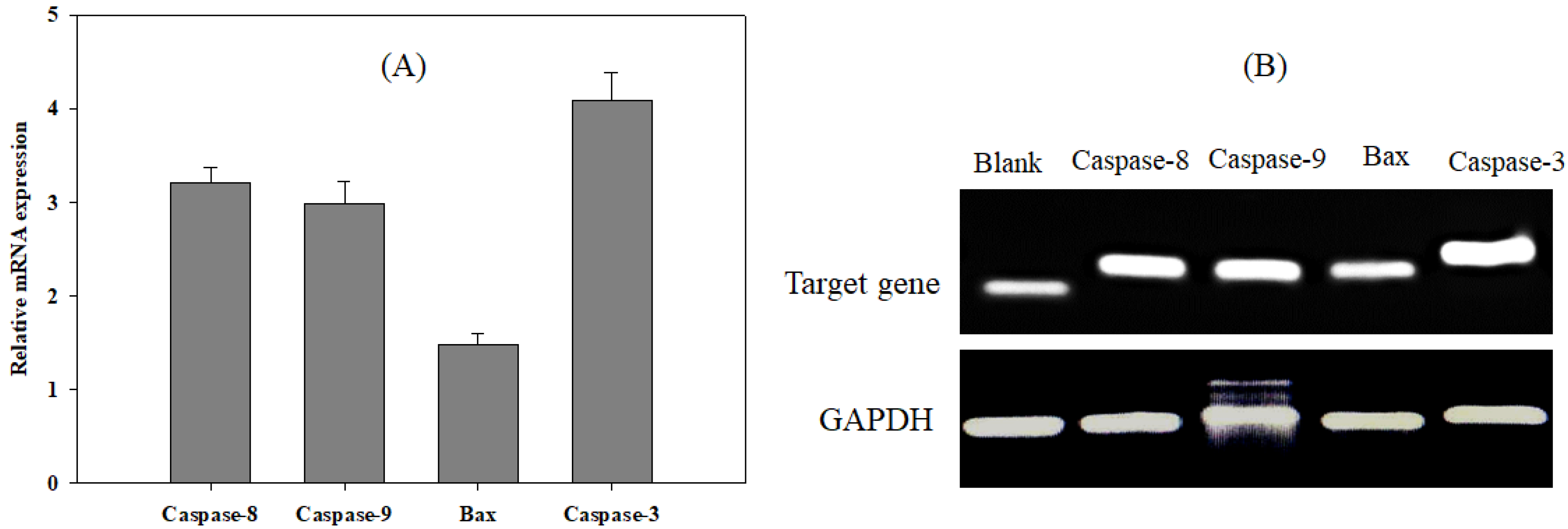 Applsci 12 06817 g004