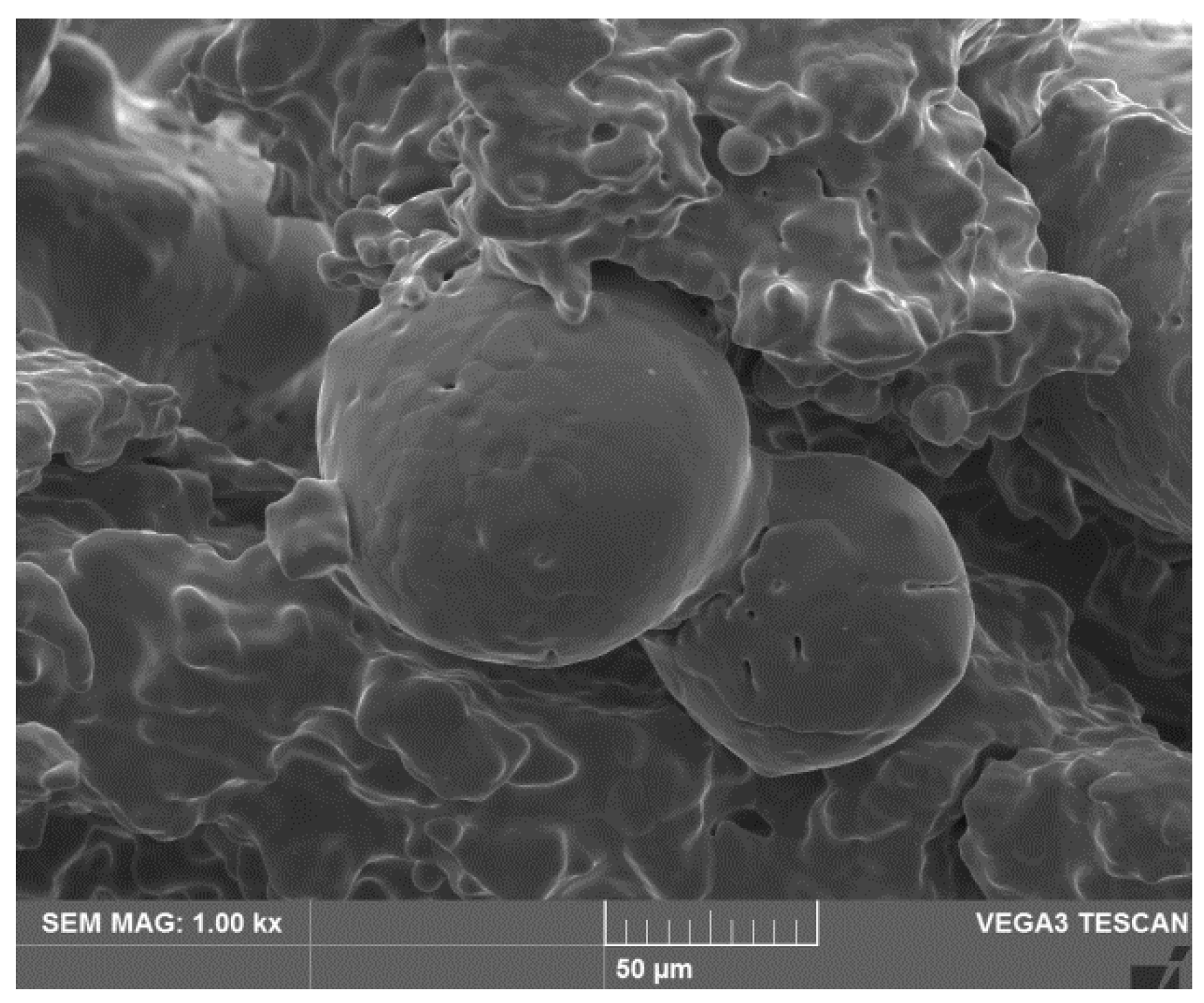 Applsci 12 06824 g006 550