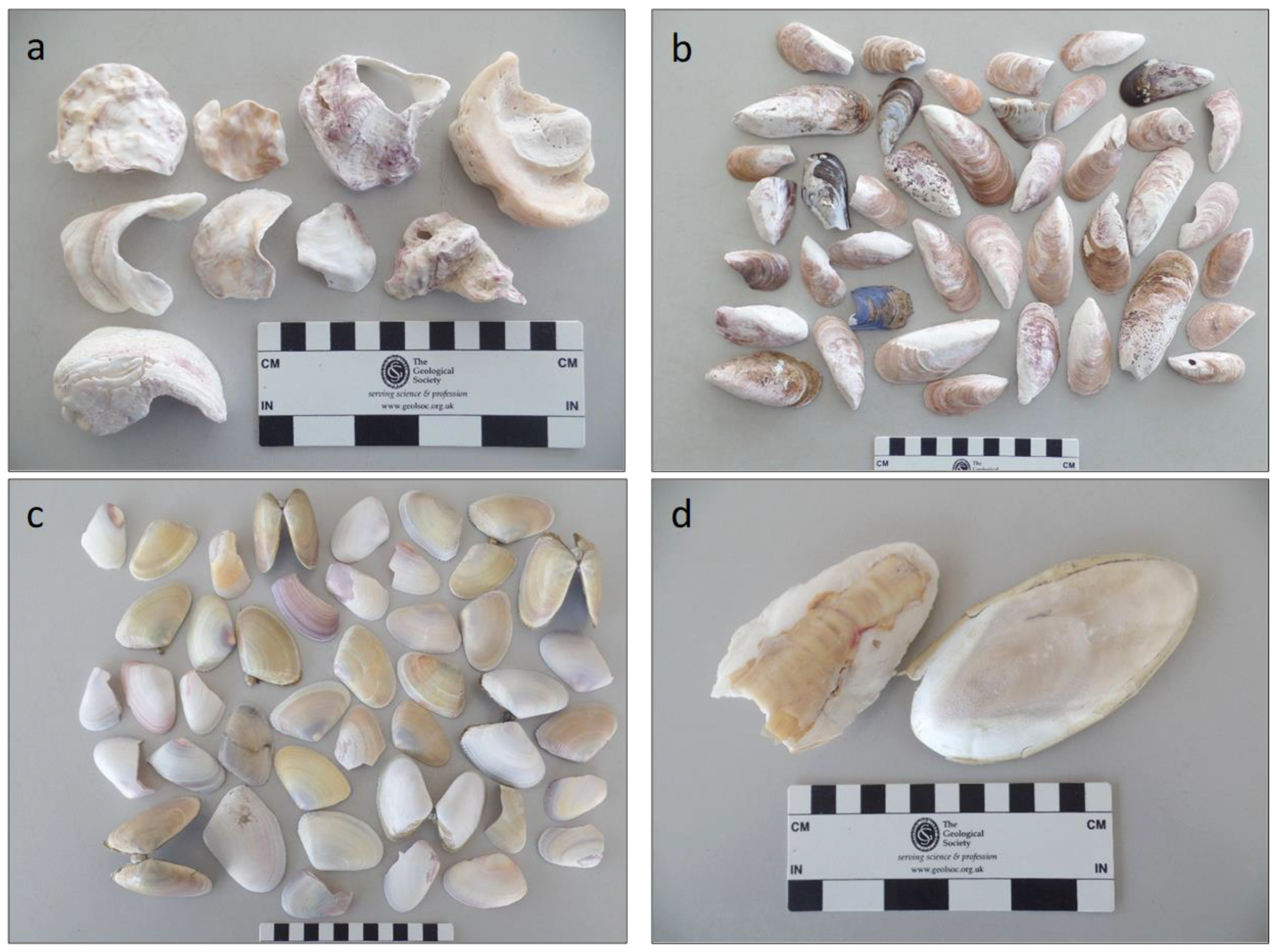 Applsci 12 06826 g002