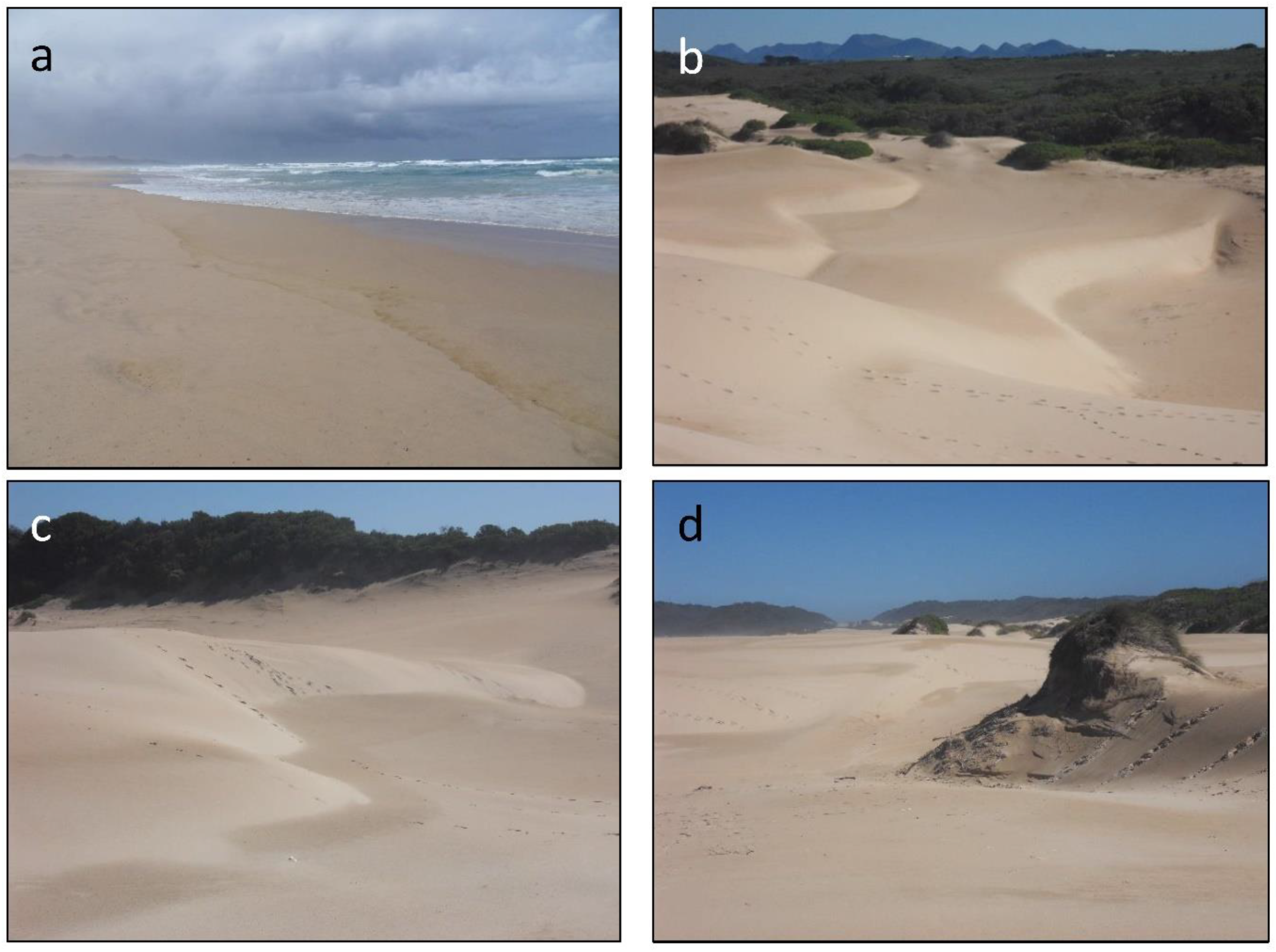 Applsci 12 06826 g004